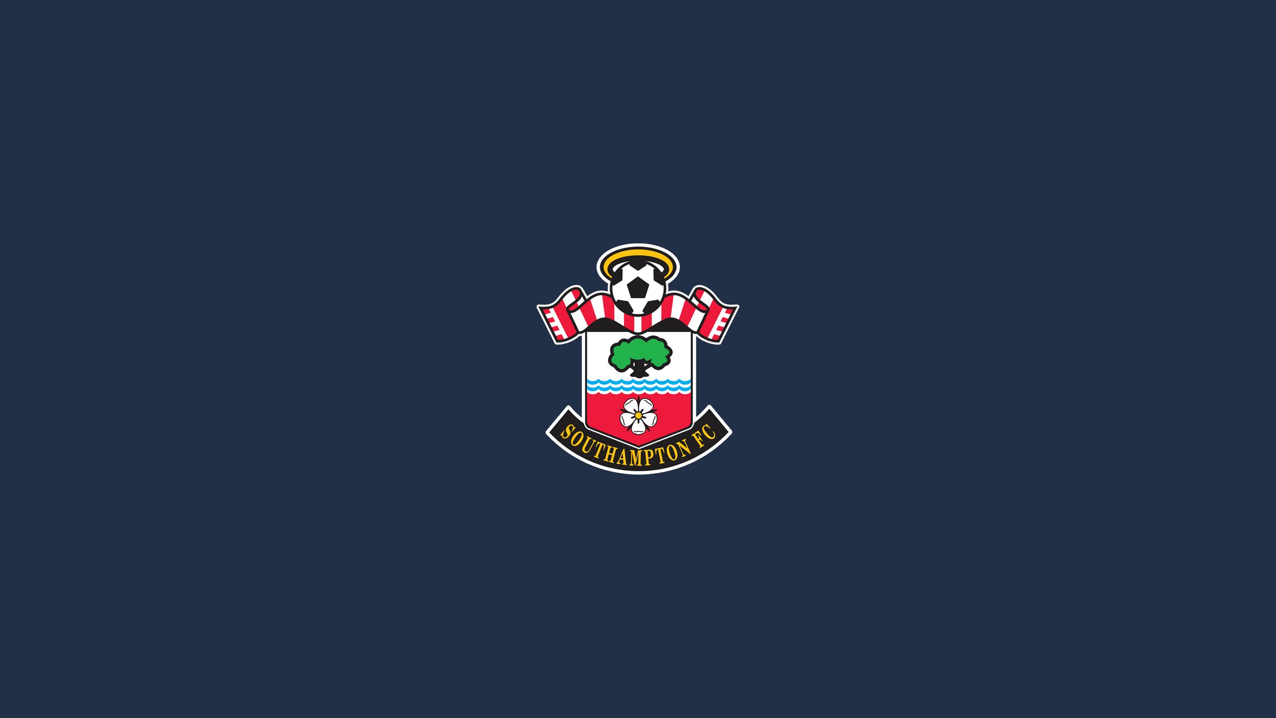 Téléchargez gratuitement l'image Logo, Des Sports, Emblème, Football, Fc Southampton sur le bureau de votre PC