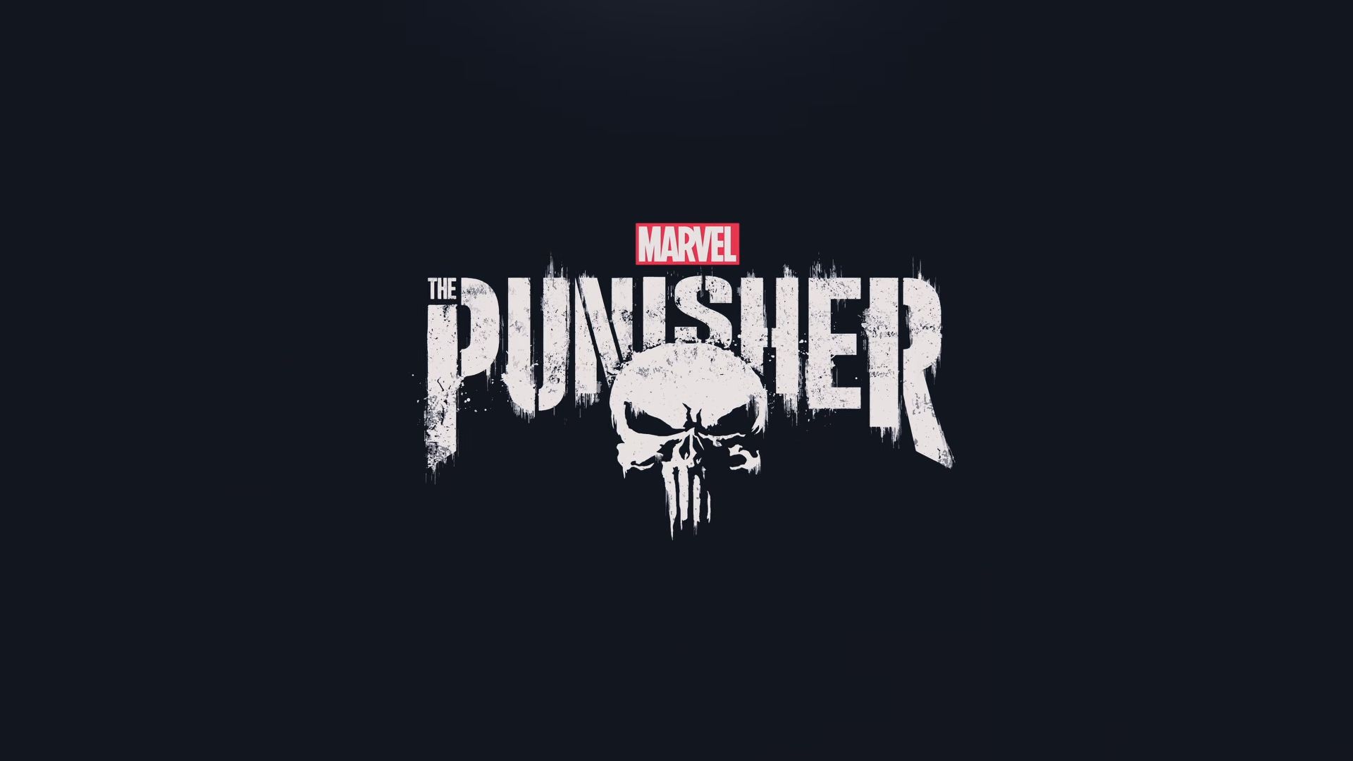 the punisher, tv show