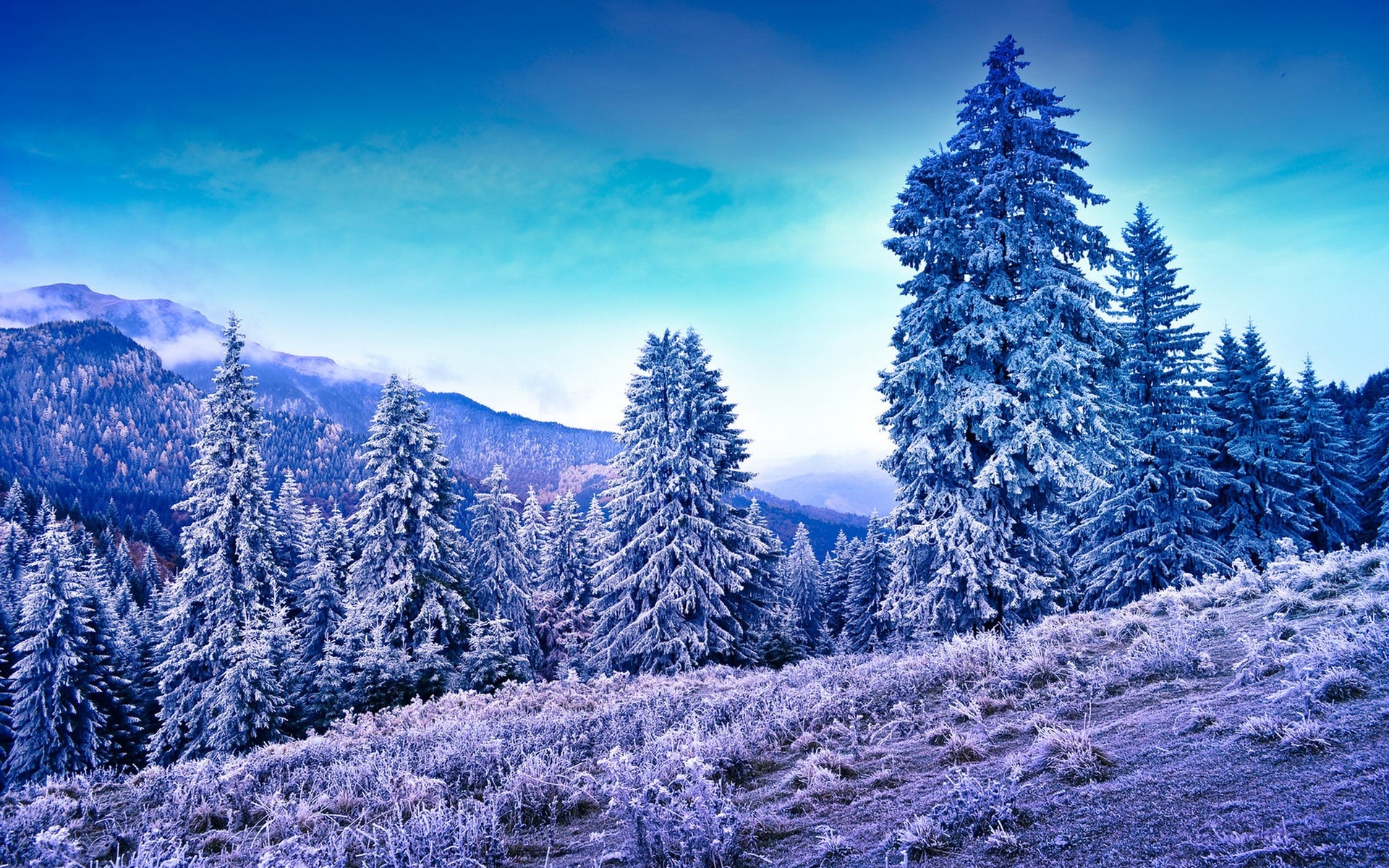 Téléchargez des papiers peints mobile Hiver, Terre/nature gratuitement.