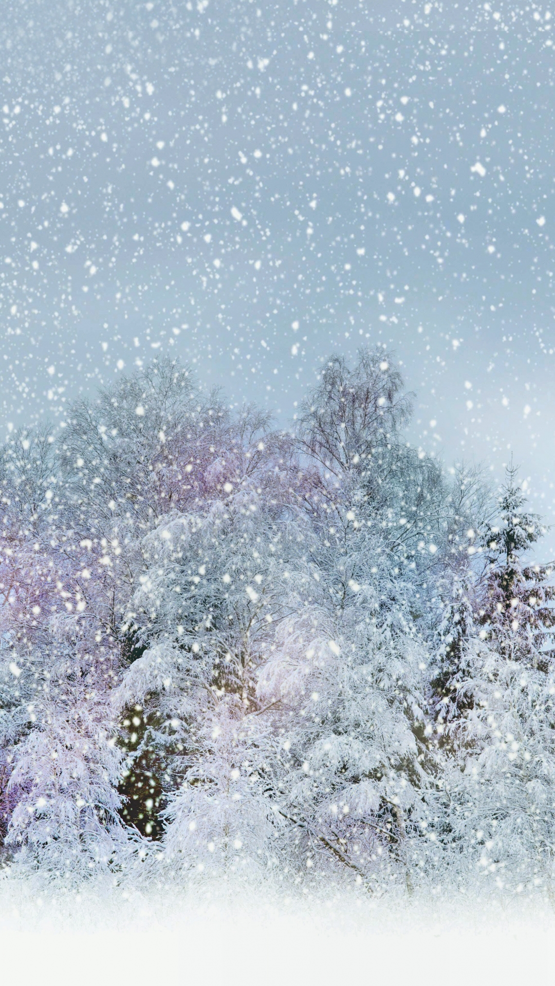 Download mobile wallpaper Winter, Nature, Sky, Snow, Tree, Fog, Earth for free.