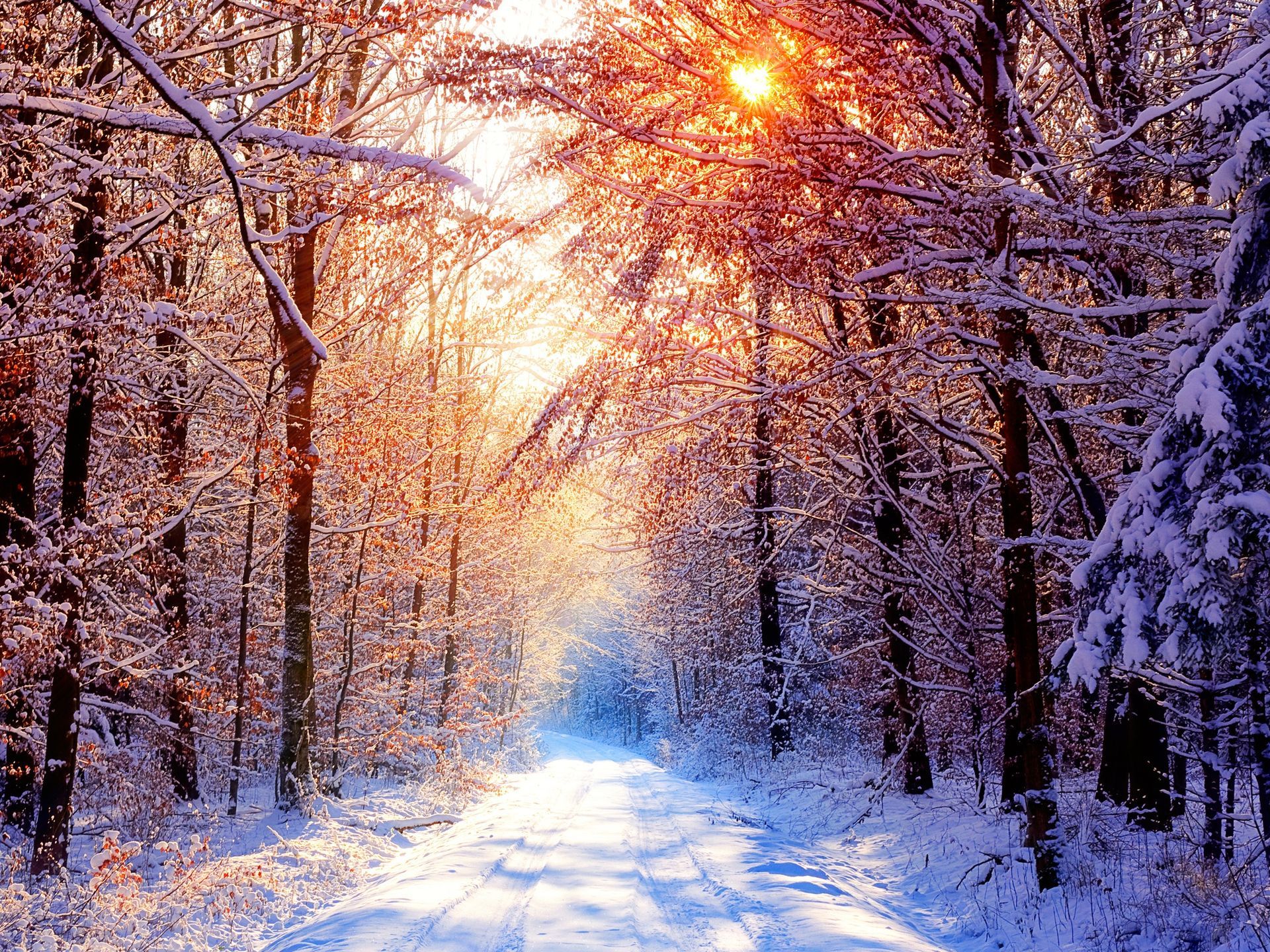 Скачать обои бесплатно Деревья, Солнце, Пейзаж, Дороги, Зима картинка на рабочий стол ПК