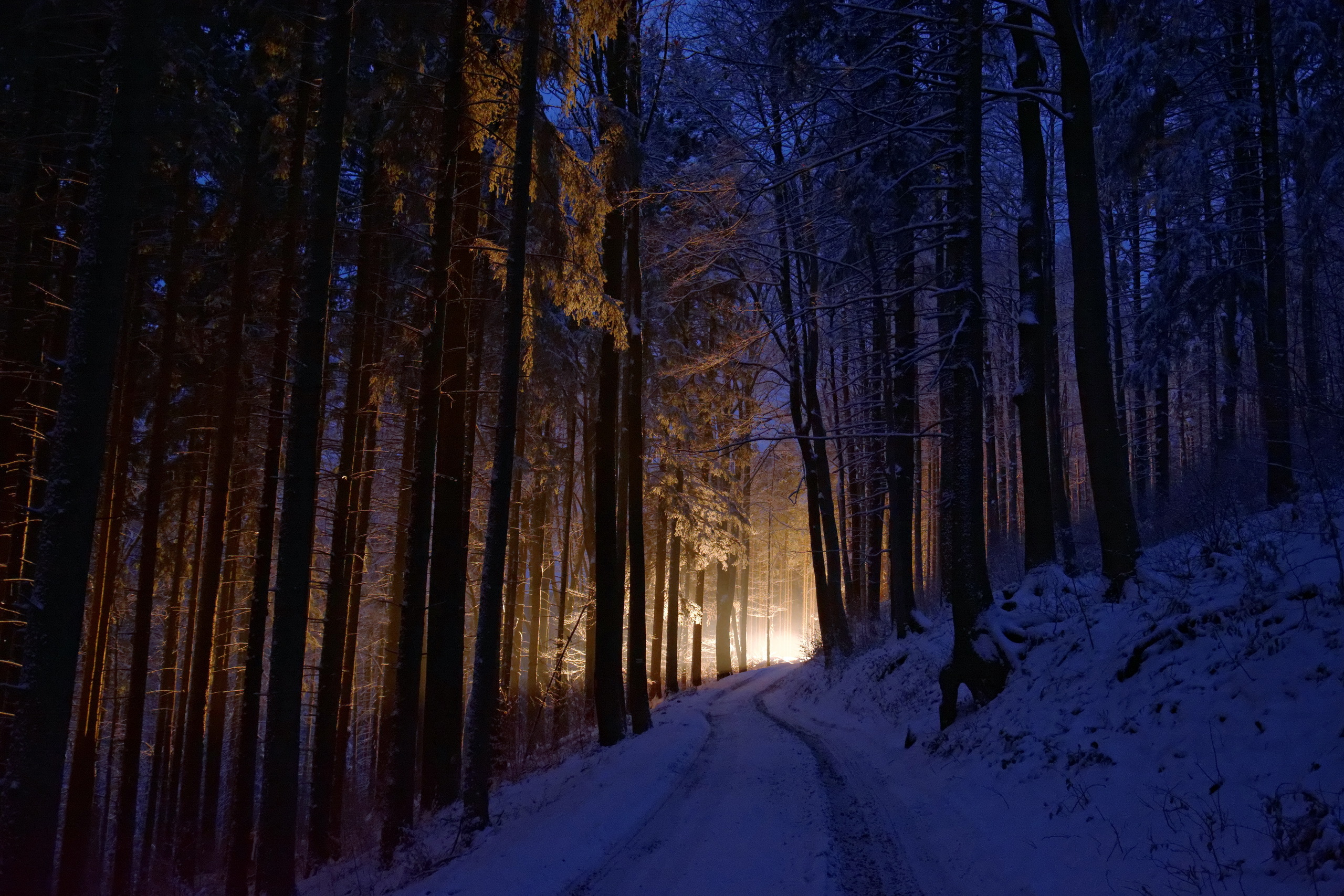 Download mobile wallpaper Winter, Nature, Night, Snow, Forest, Tree, Earth, Dirt Road for free.