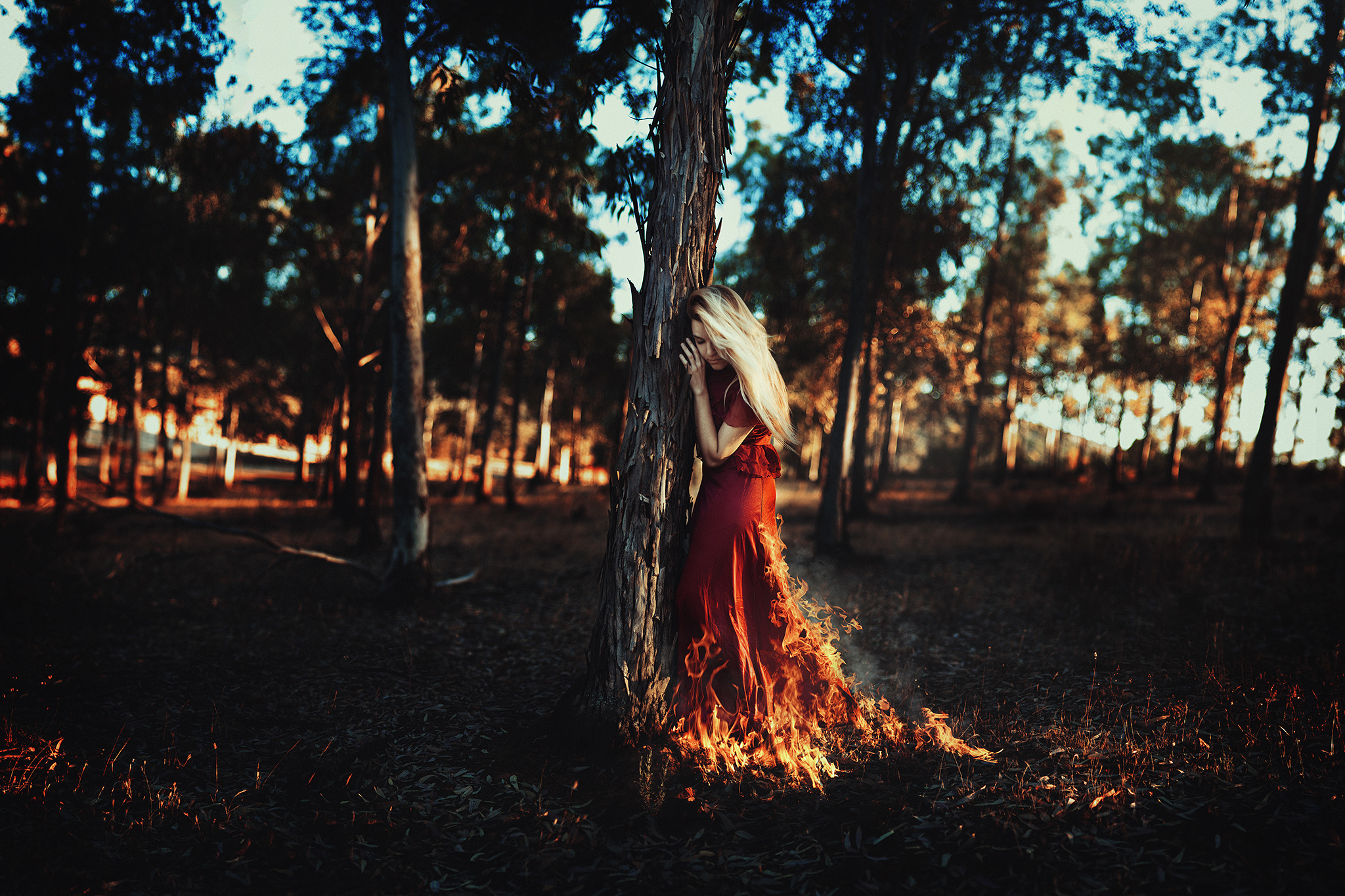 Free download wallpaper Fire, Forest, Blonde, Photography, Manipulation, Red Dress, Depth Of Field on your PC desktop