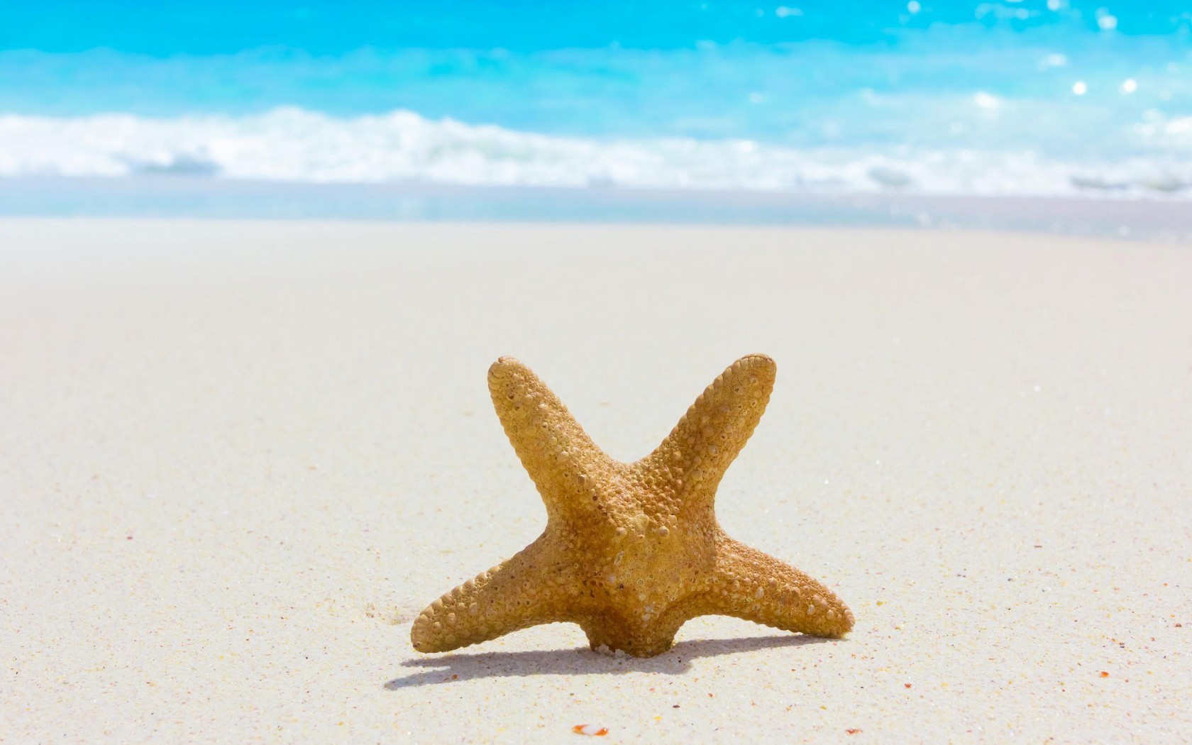 21497 скачать обои морские звезды, пейзаж, море, пляж, песок - заставки и картинки бесплатно
