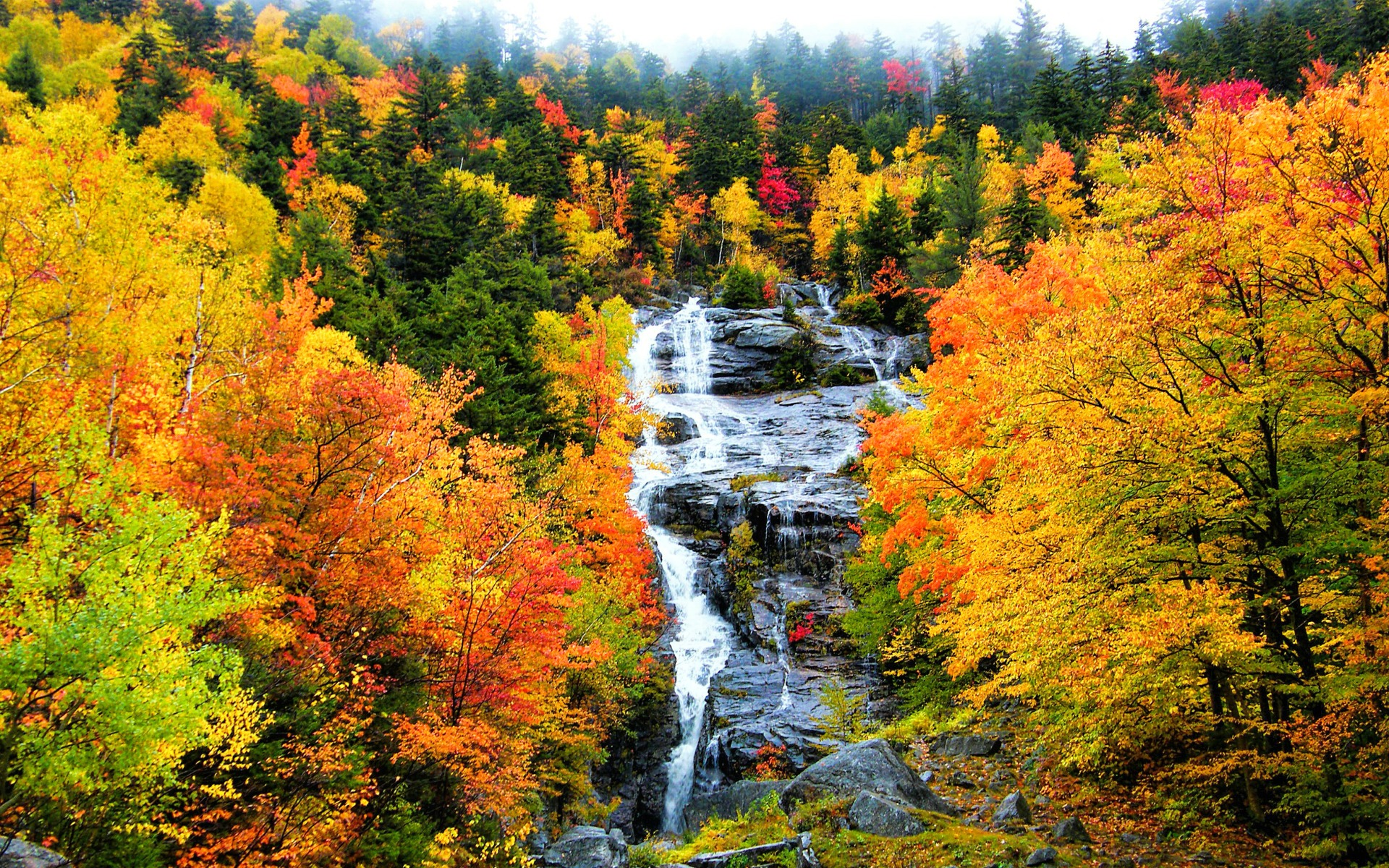 Download mobile wallpaper Waterfalls, Waterfall, Forest, Fall, Earth for free.