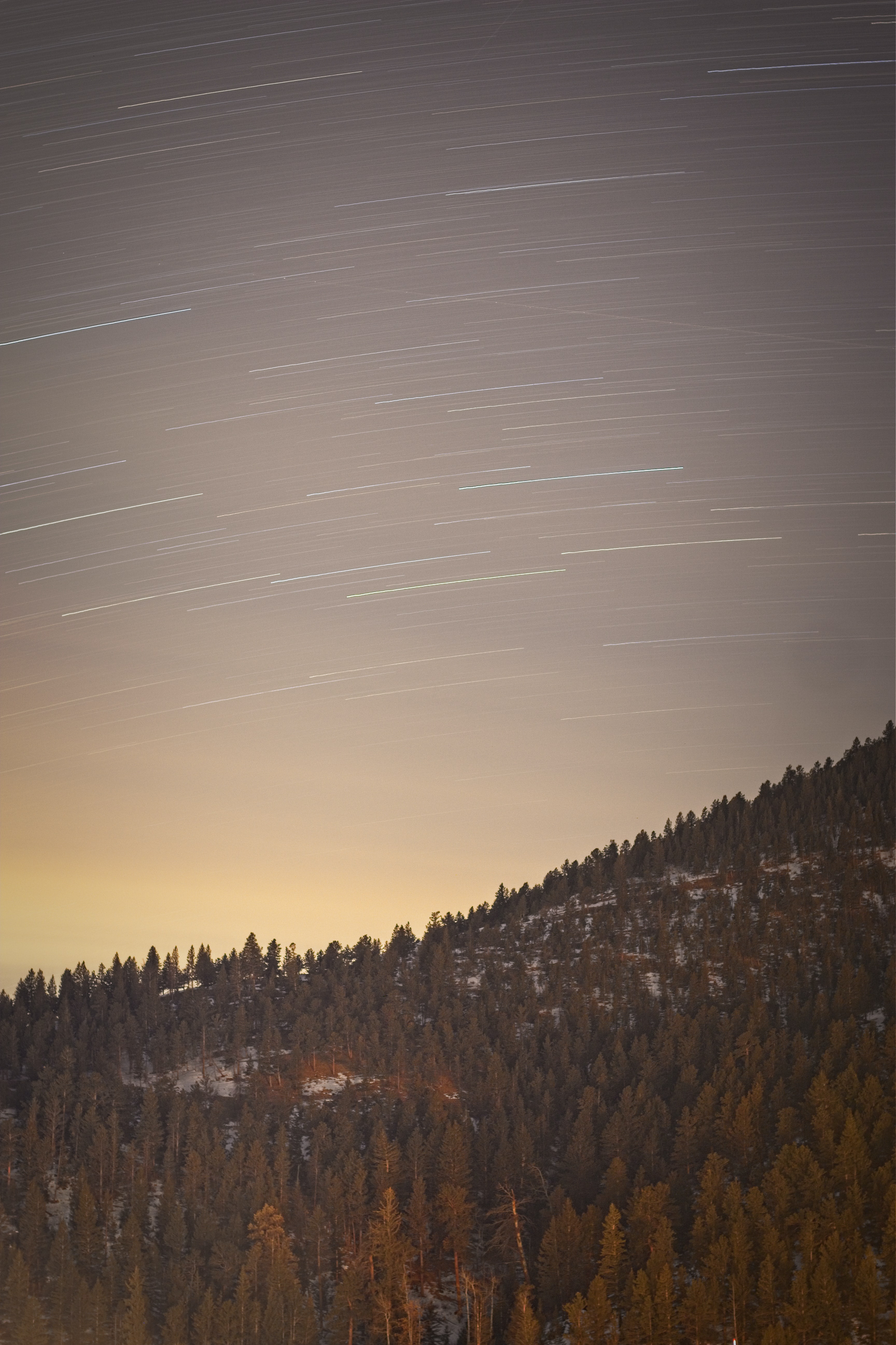 Download mobile wallpaper Forest, Long Exposure, Stars, Trees, Nature for free.