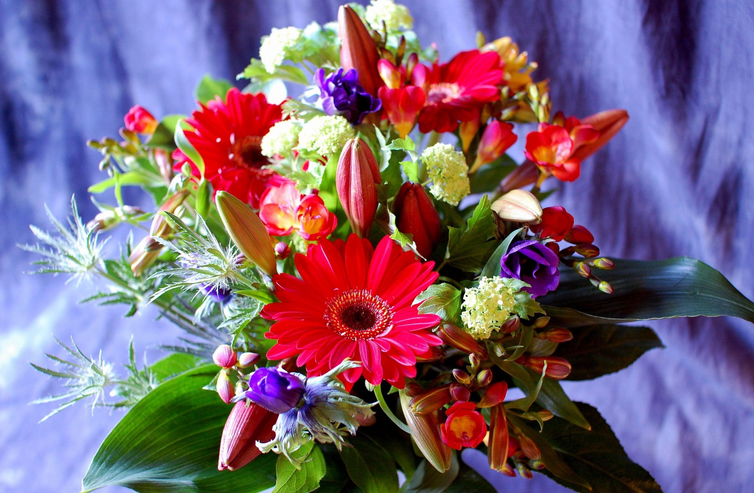 flowers, lilies, gerberas, greens, bouquet, buds, composition, freesia