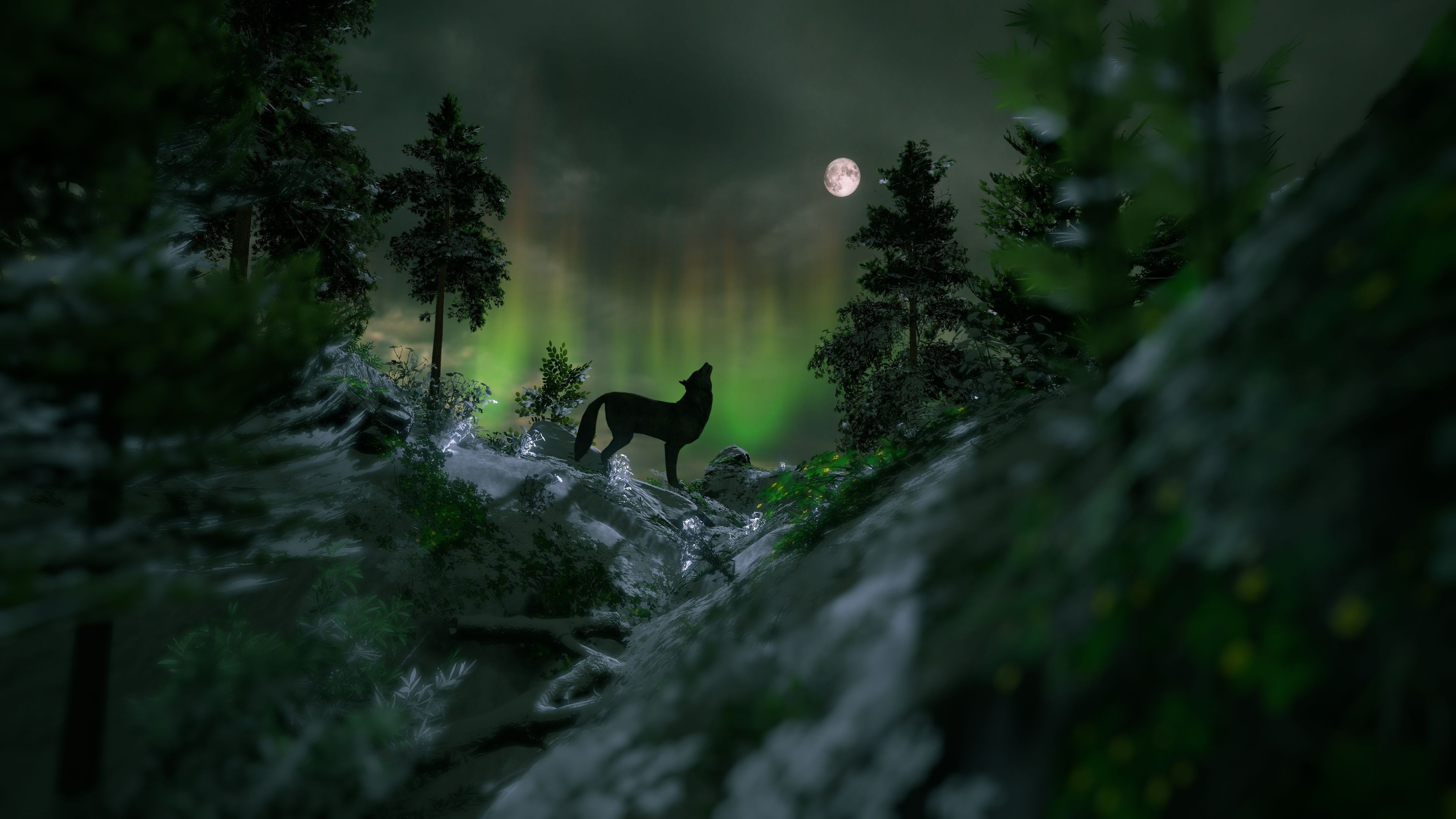 492723 descargar fondo de pantalla lobo, animales, aurora boreal, abeto, bosque, luna, noche, wolves: protectores de pantalla e imágenes gratis