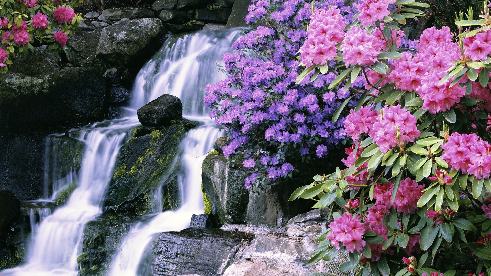 Download mobile wallpaper Nature, Water, Waterfalls, Flower, Waterfall, Earth, Moss, Garden for free.
