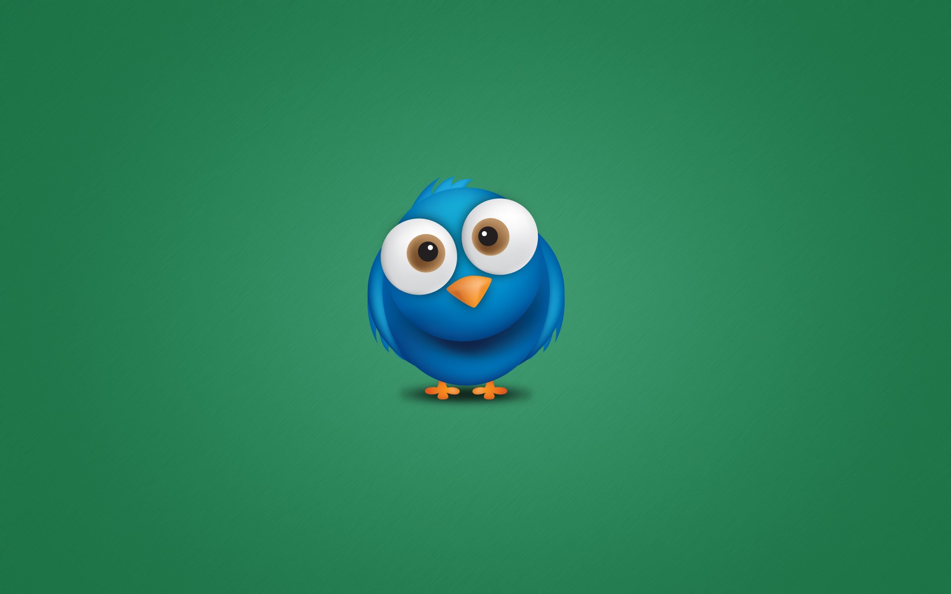 Free download wallpaper Birds, Bird, Animal on your PC desktop