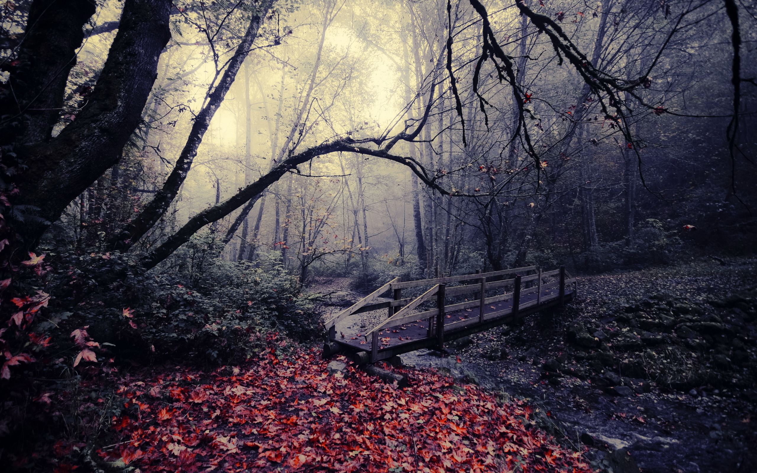 Laden Sie das Herbst, Wald, Nebel, Blatt, Brücke, Strom, Brücken, Menschengemacht-Bild kostenlos auf Ihren PC-Desktop herunter