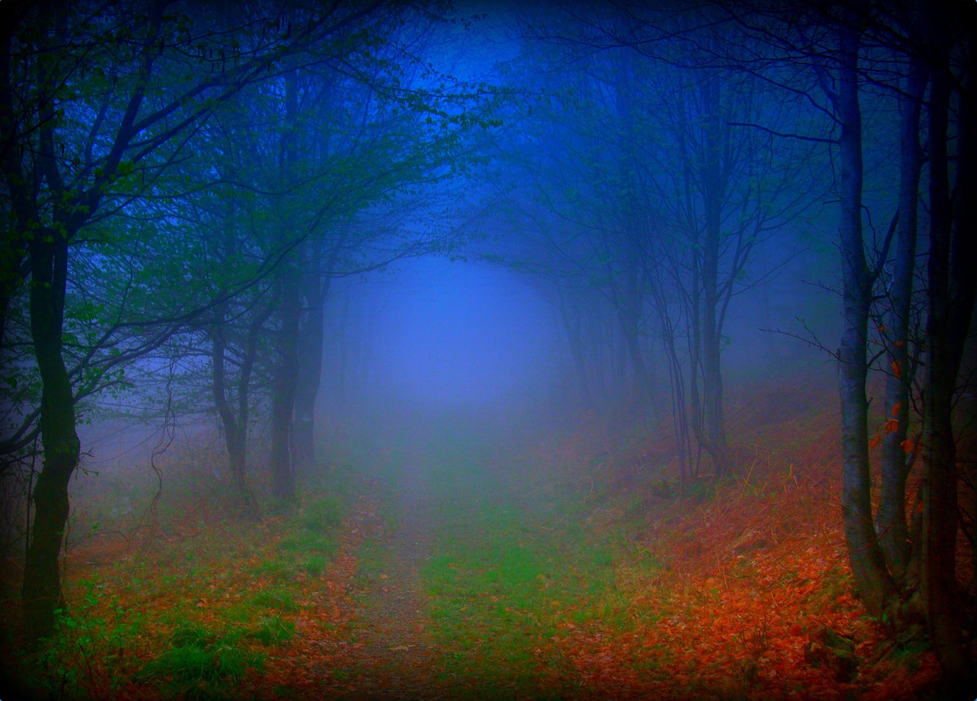 Download mobile wallpaper Road, Forest, Fog, Fall, Earth, Path for free.