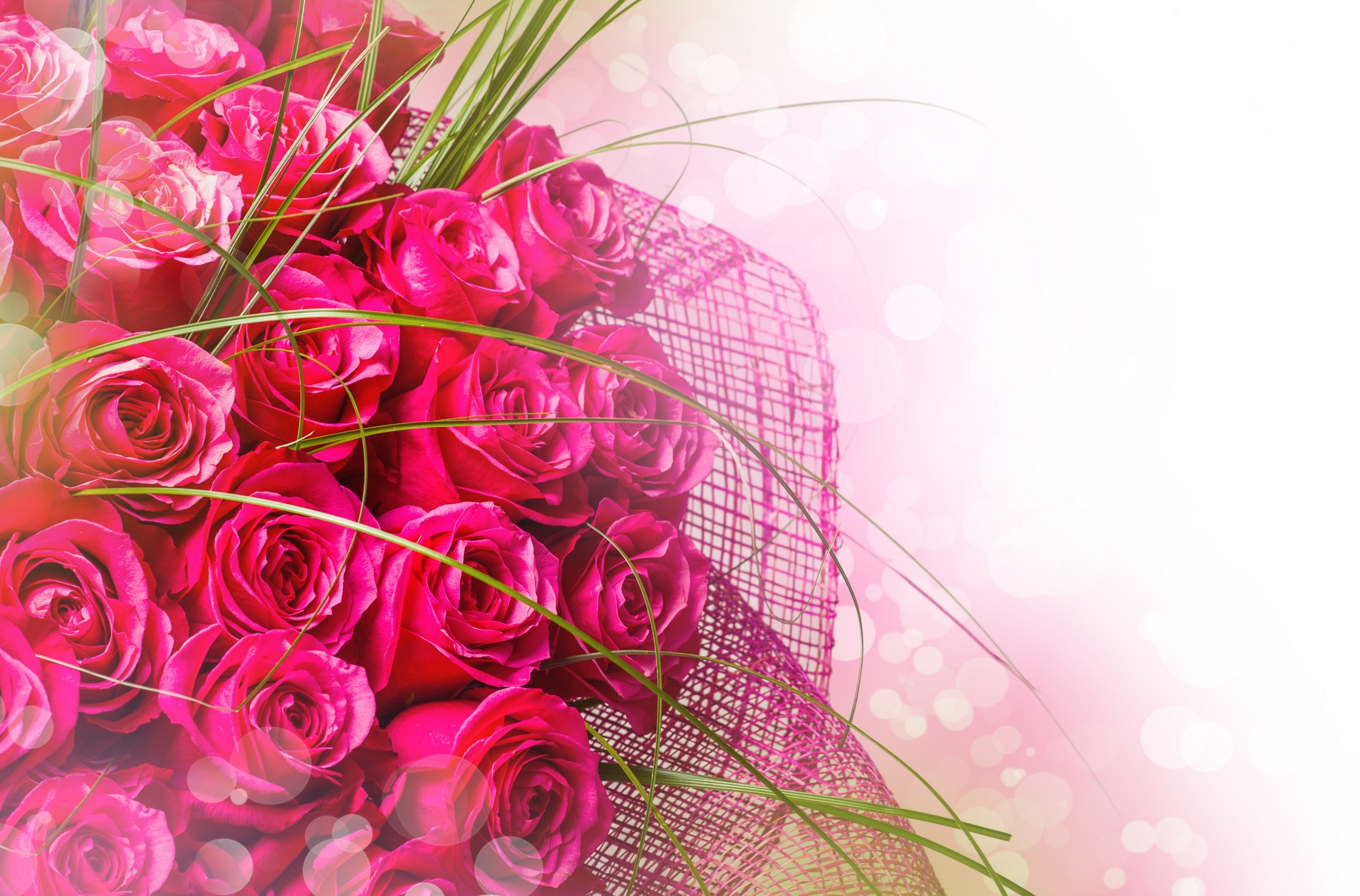 Laden Sie das Blumen, Blume, Rose, Strauß, Erde/natur, Pinke Rose-Bild kostenlos auf Ihren PC-Desktop herunter