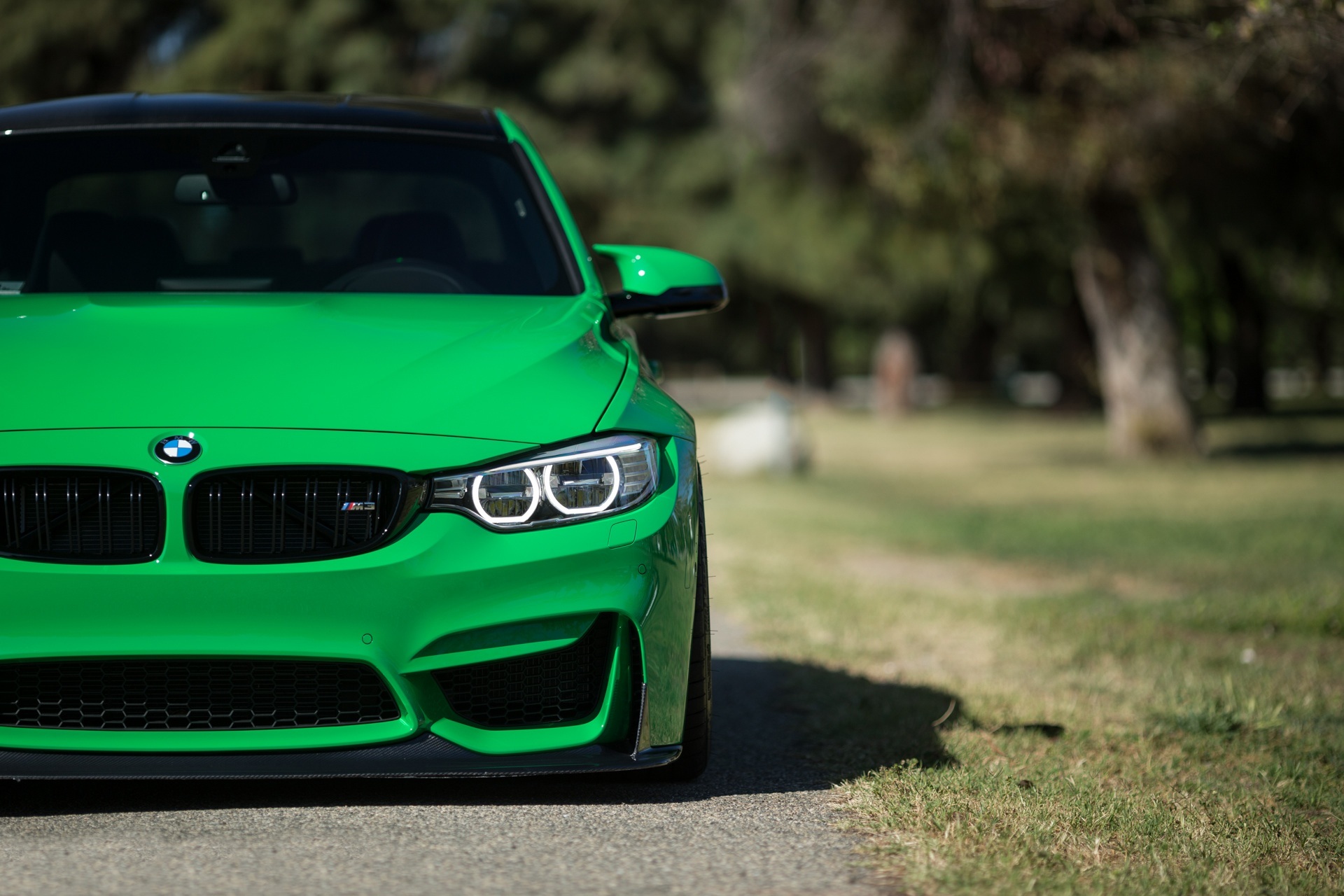 bmw, cars, green, front view, m3, 2016