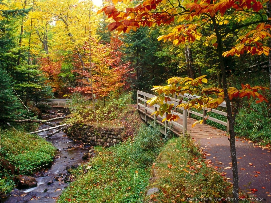 Download mobile wallpaper Bridges, Autumn, Trees, Plants, Rivers, Landscape for free.