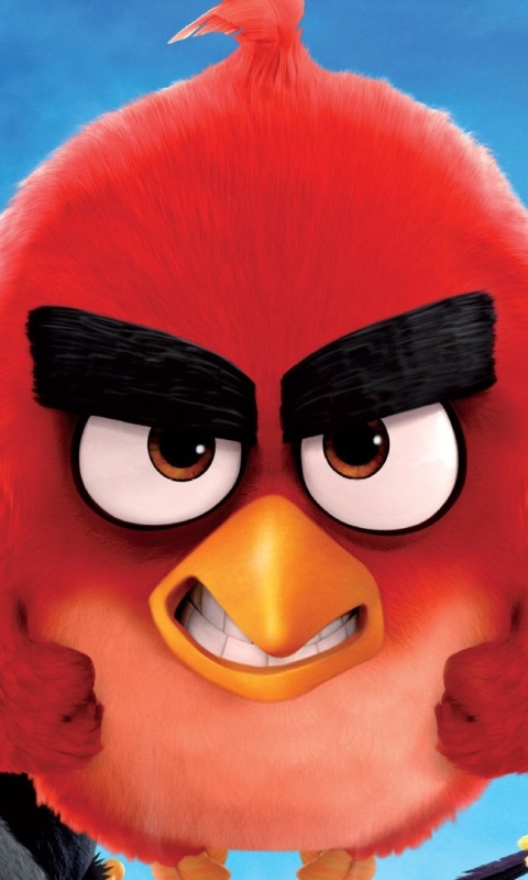 1110947 descargar fondo de pantalla películas, angry birds: la película, angry birds: protectores de pantalla e imágenes gratis