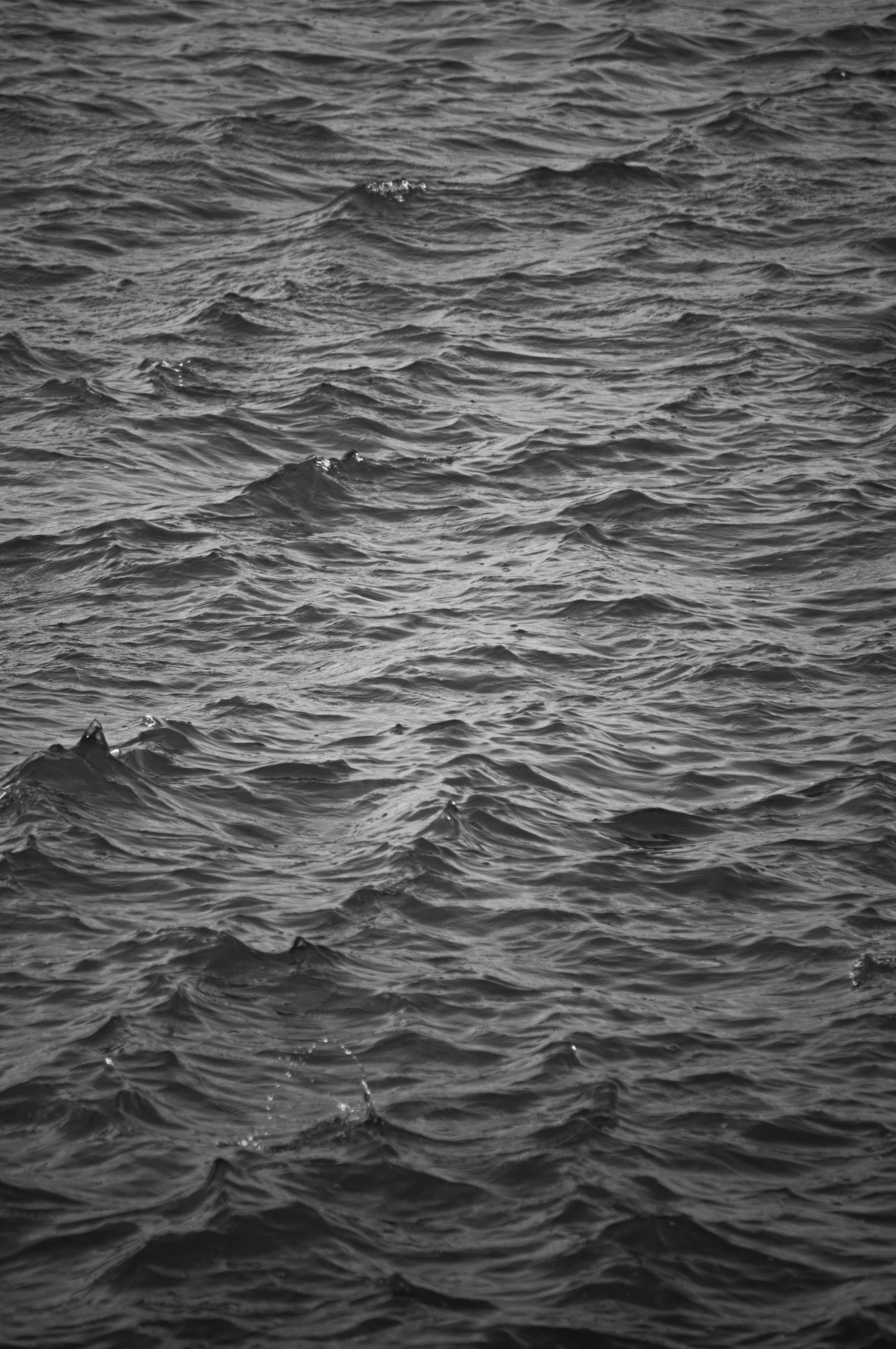 ripples, ripple, nature, water, waves, bw, chb Smartphone Background