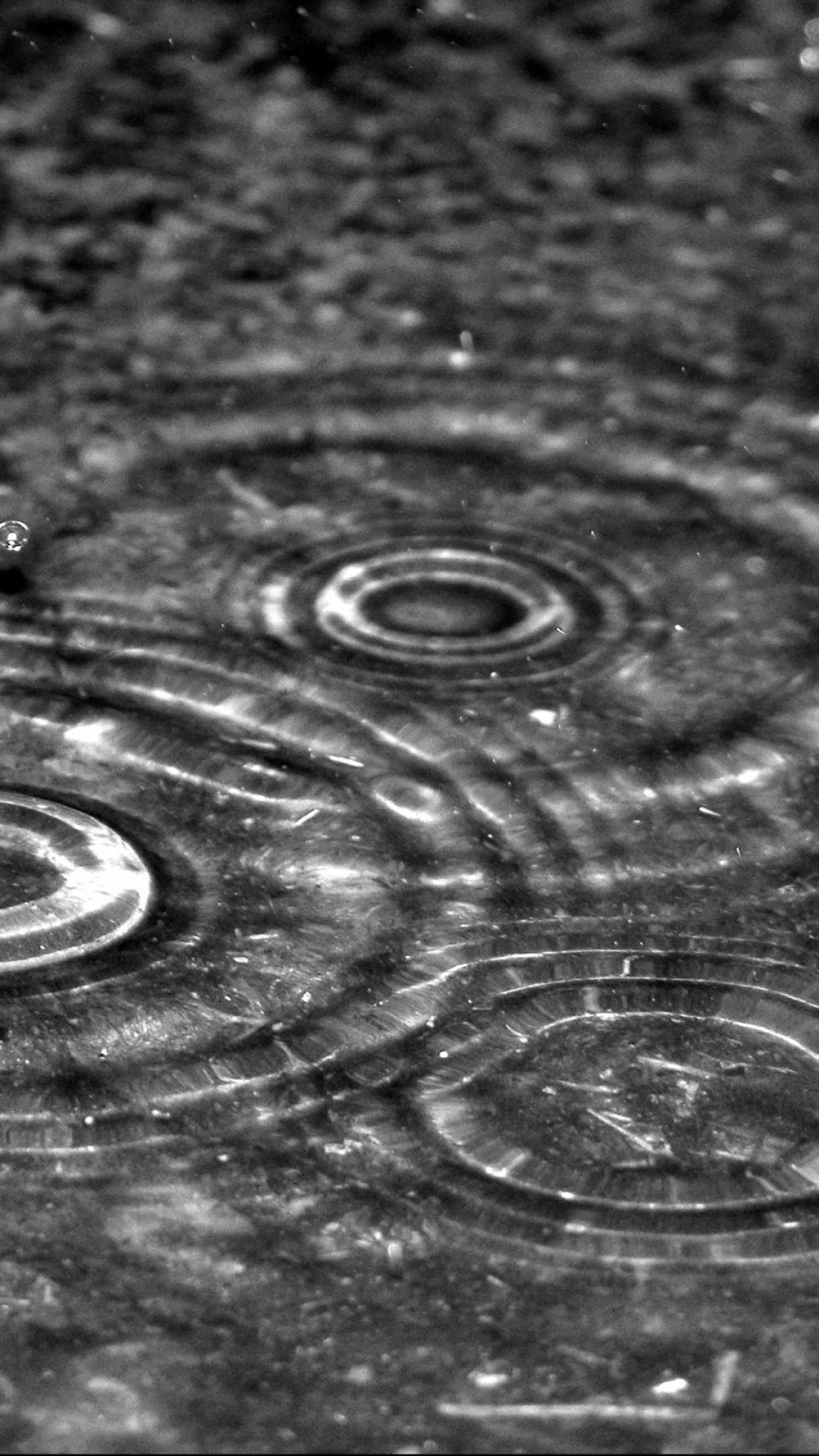 Descarga gratuita de fondo de pantalla para móvil de Lluvia, Blanco Y Negro, Fotografía, Blanco Negro.