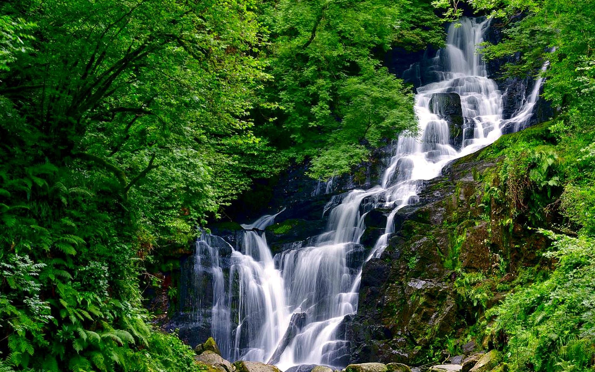 Handy-Wallpaper Wasserfall, Wald, Baum, Erde, Erde/natur kostenlos herunterladen.