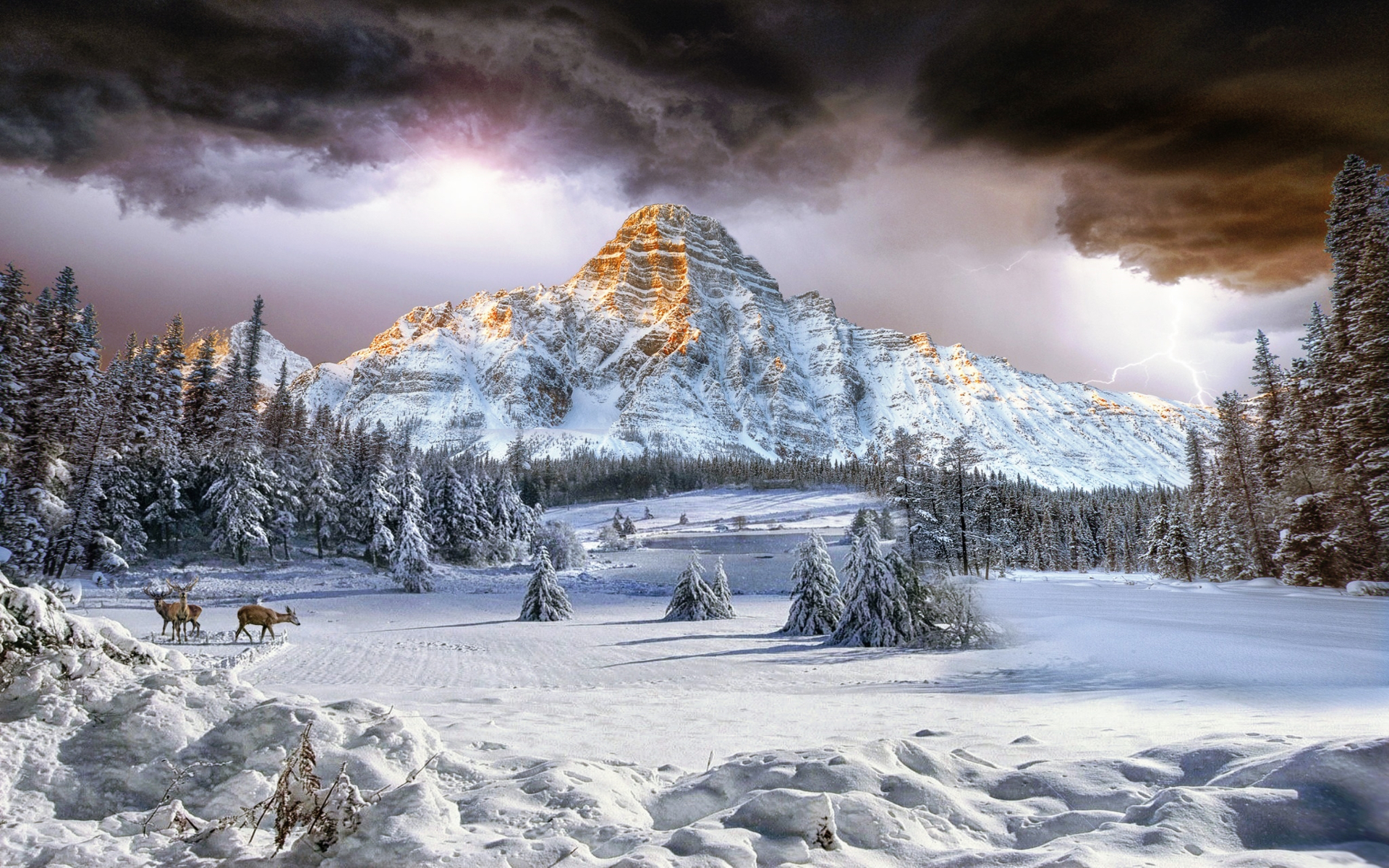 PCデスクトップに風景, 冬, 雪, 鹿, 山, 森, 地球画像を無料でダウンロード
