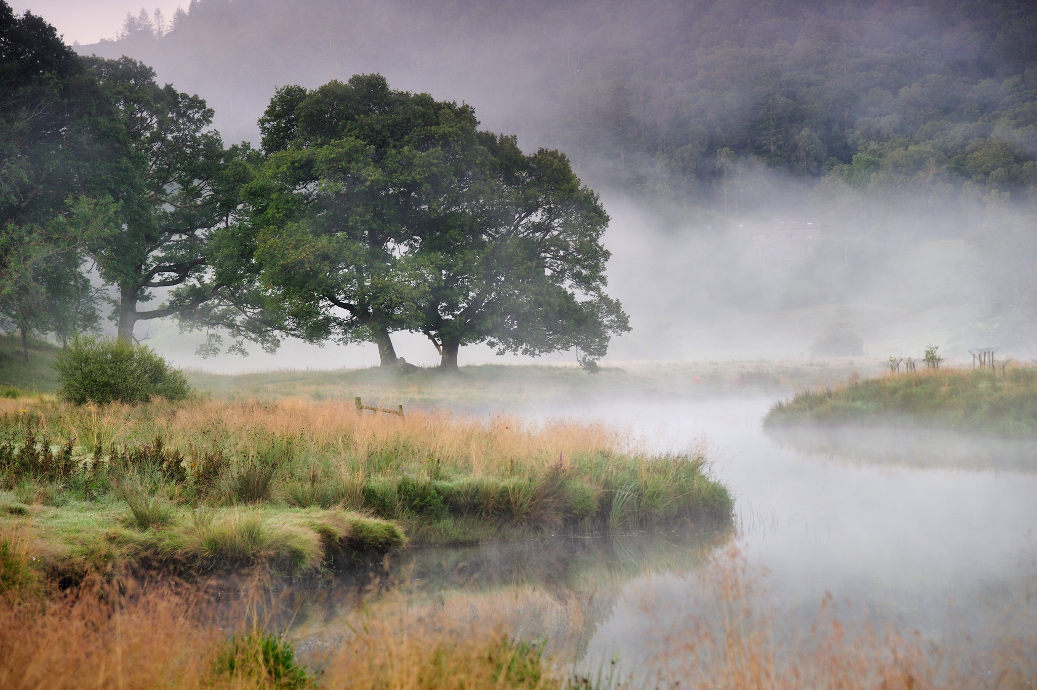 Скачать обои бесплатно Река, Туман, Земля/природа картинка на рабочий стол ПК