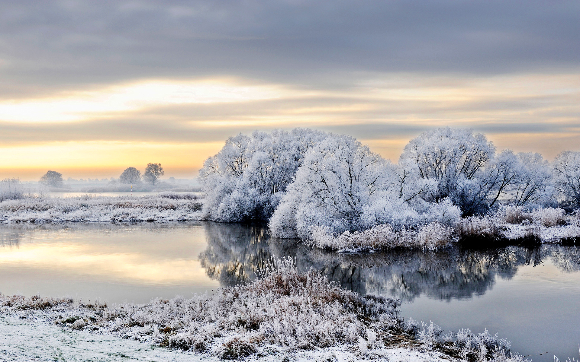 Download mobile wallpaper Landscape, Winter, Nature, Sky, Snow, Reflection, Tree, Earth, Frost, River, Germany for free.