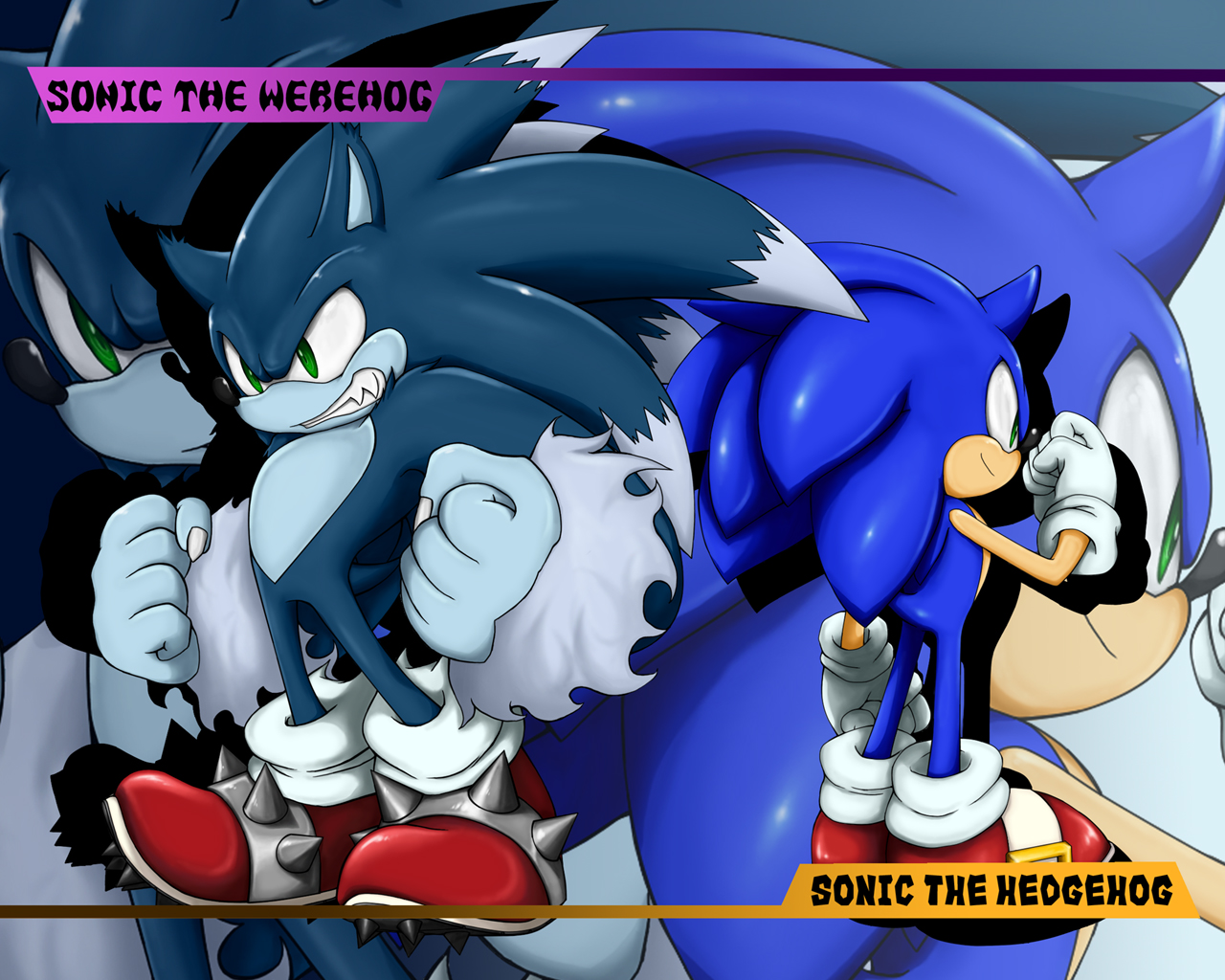 video game, sonic the hedgehog, sonic the werehog, sonic unleashed