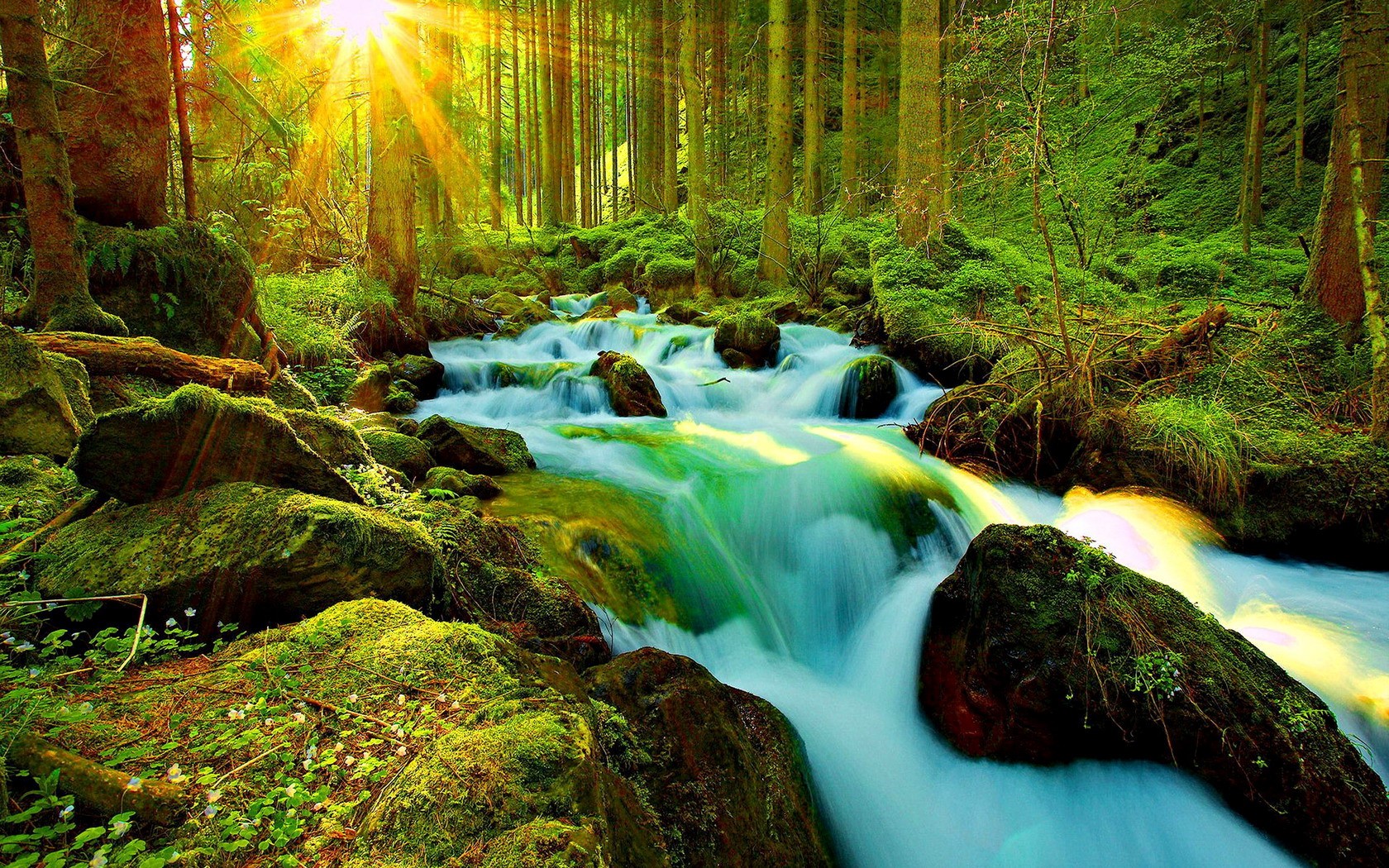 Скачать обои бесплатно Солнце, Водопад, Лес, Зеленый, Солнечный Свет, Ручей, Земля/природа картинка на рабочий стол ПК