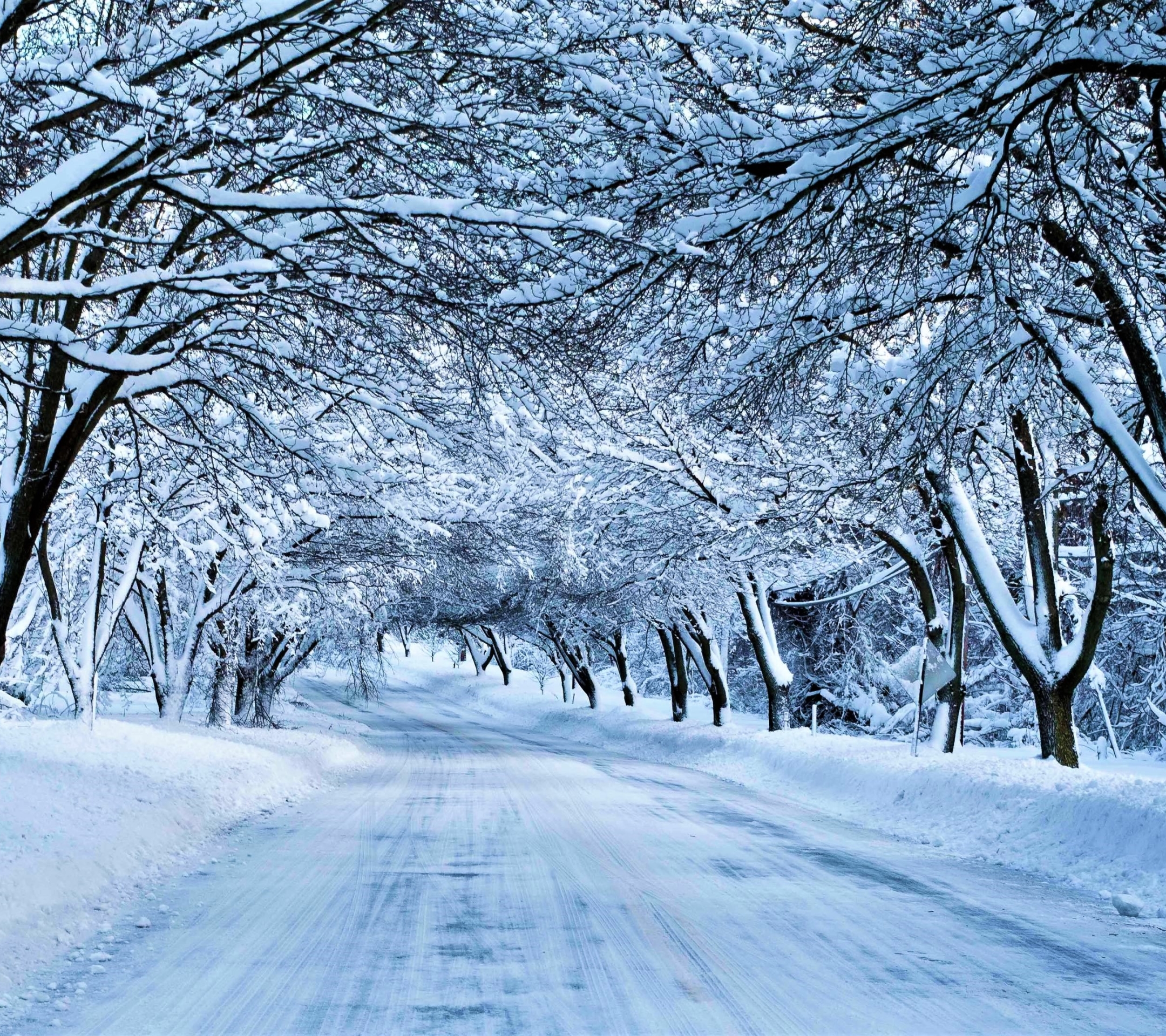 Скачать картинку Зима, Снег, Дорога, Дерево, Навес, Сделано Человеком в телефон бесплатно.