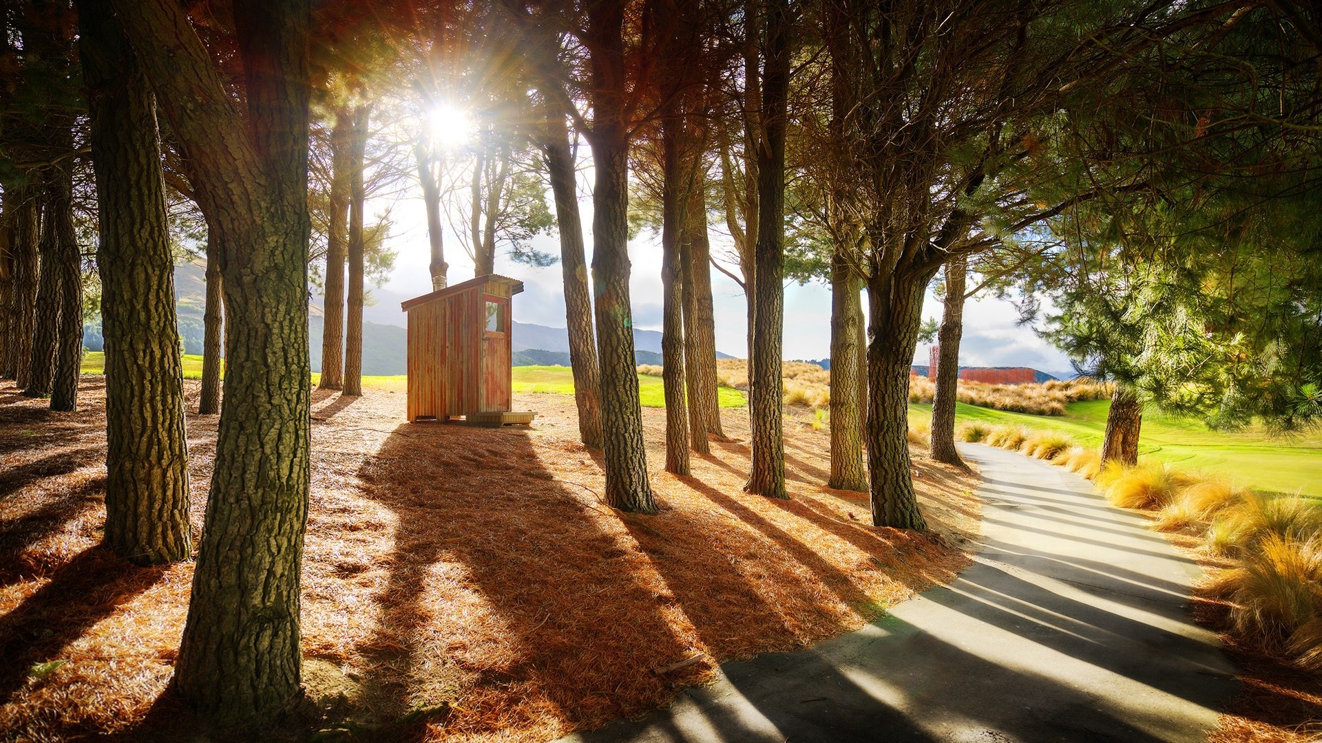 Téléchargez gratuitement l'image Arbre, Chemin, Construction Humaine, Le Coucher Du Soleil sur le bureau de votre PC