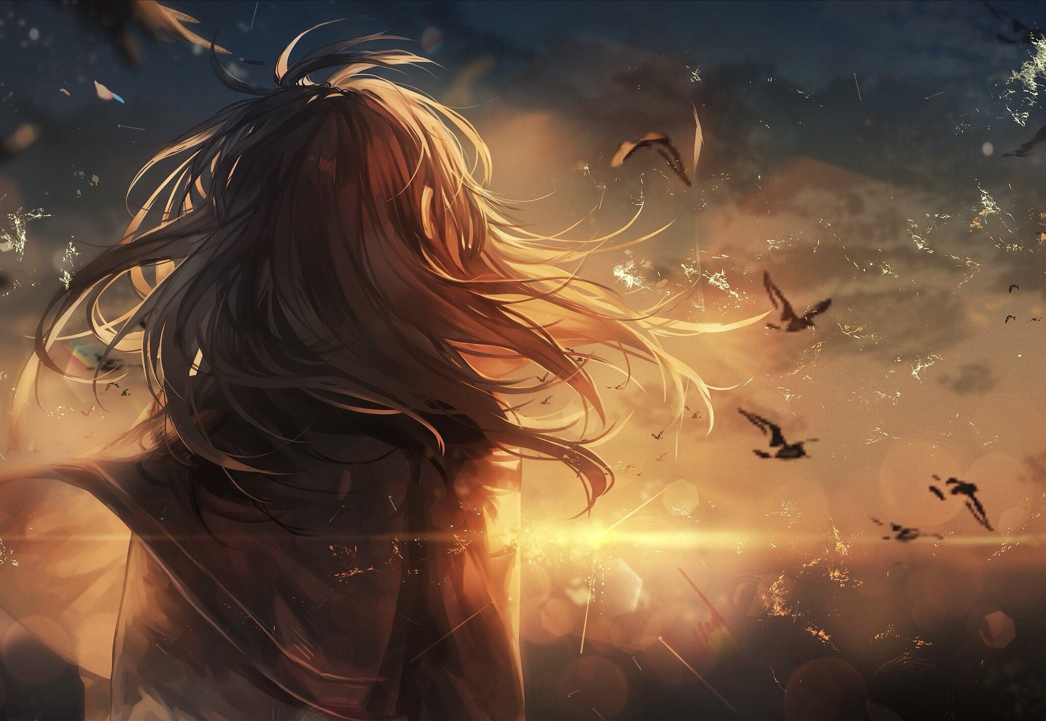 Free download wallpaper Anime, Sunset, Bird, Original, Black Hair, Long Hair on your PC desktop