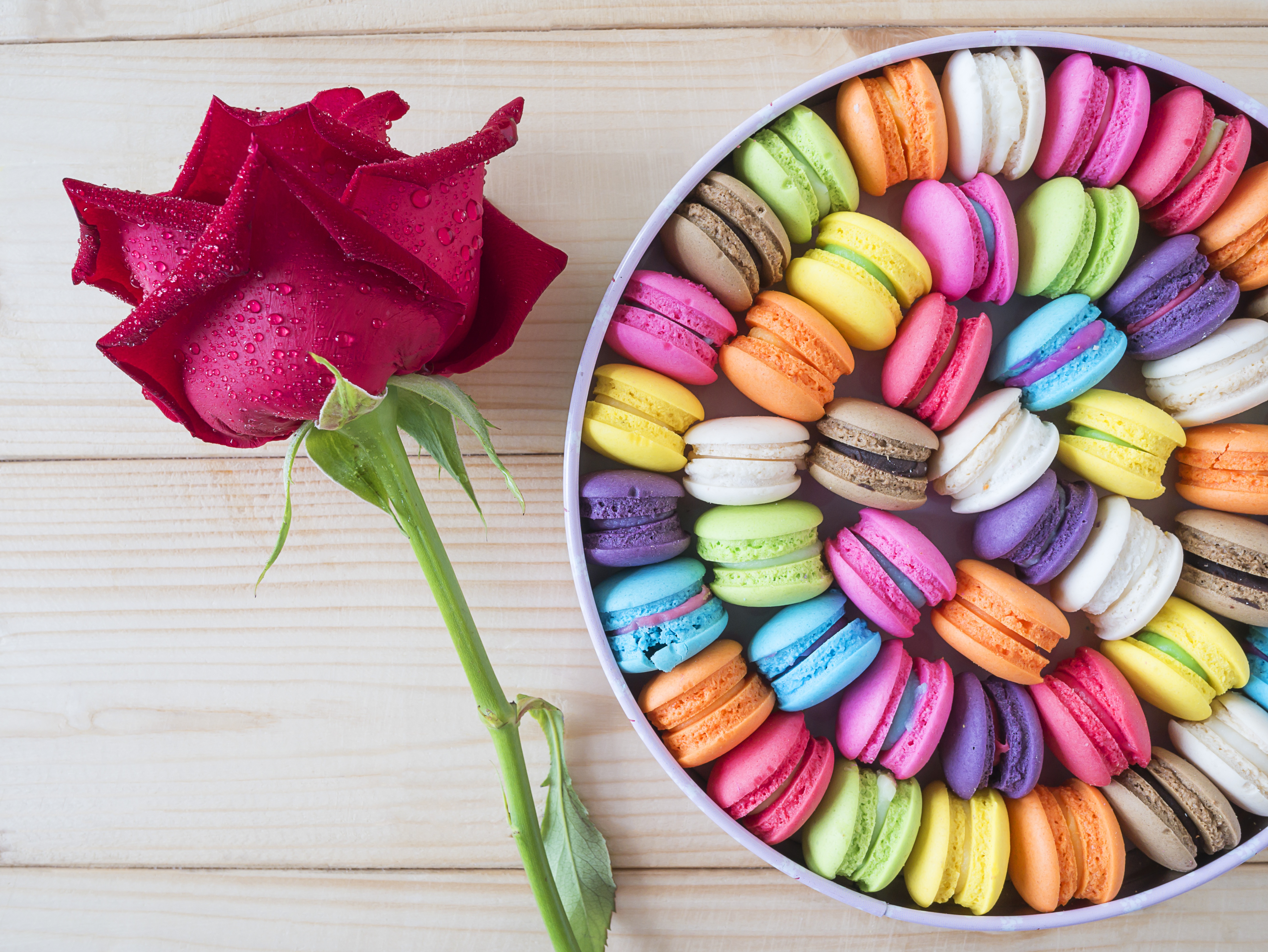 Download mobile wallpaper Food, Flower, Rose, Colors, Sweets, Macaron for free.