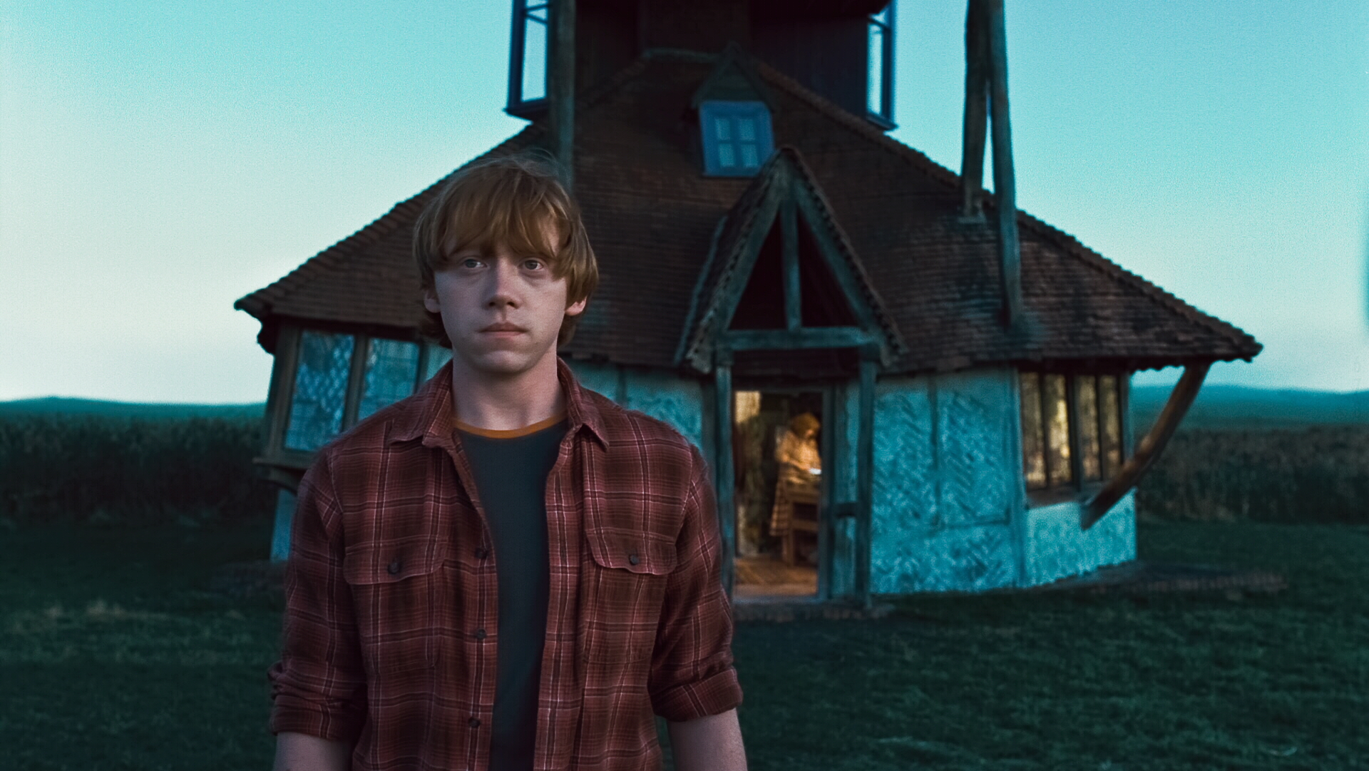 movie, harry potter and the deathly hallows: part 1, ron weasley, harry potter