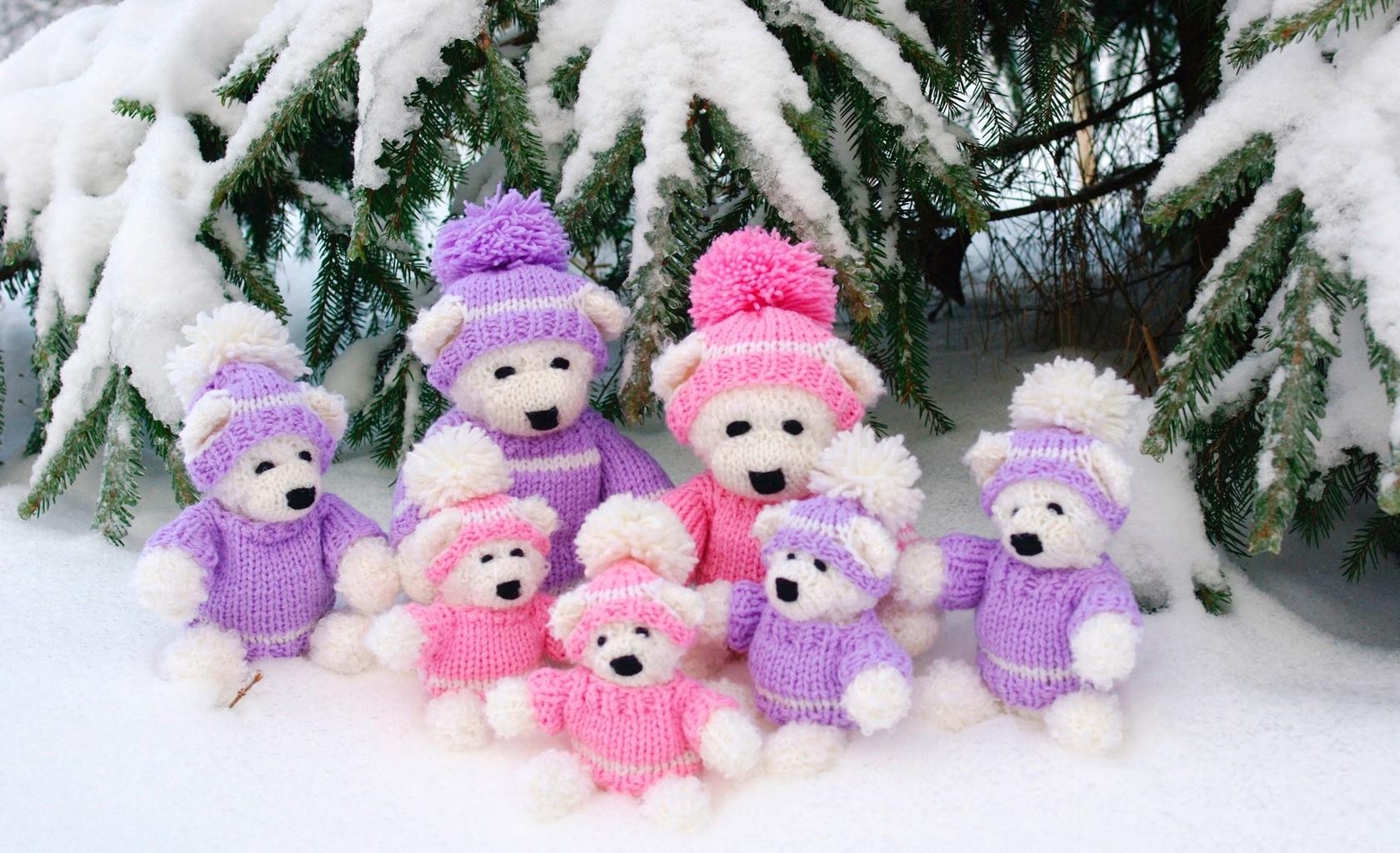 bears, holidays, new year, snow, christmas, family, needles, is sitting, sits