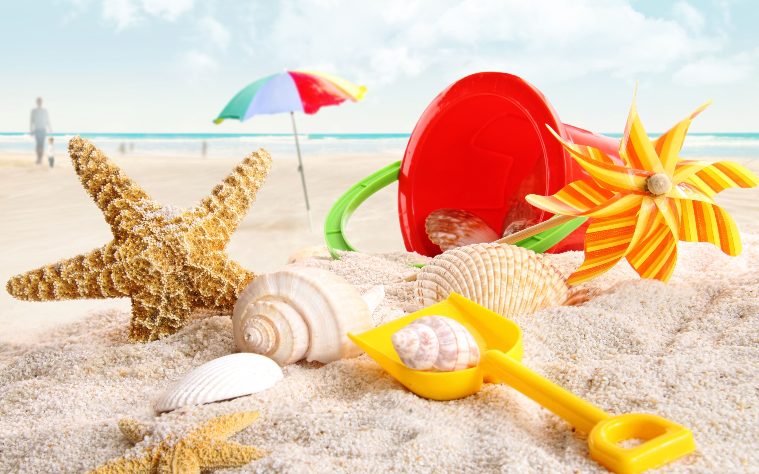Laden Sie das Sommer, Muschel, Fotografie, Seestern, Feiertag-Bild kostenlos auf Ihren PC-Desktop herunter