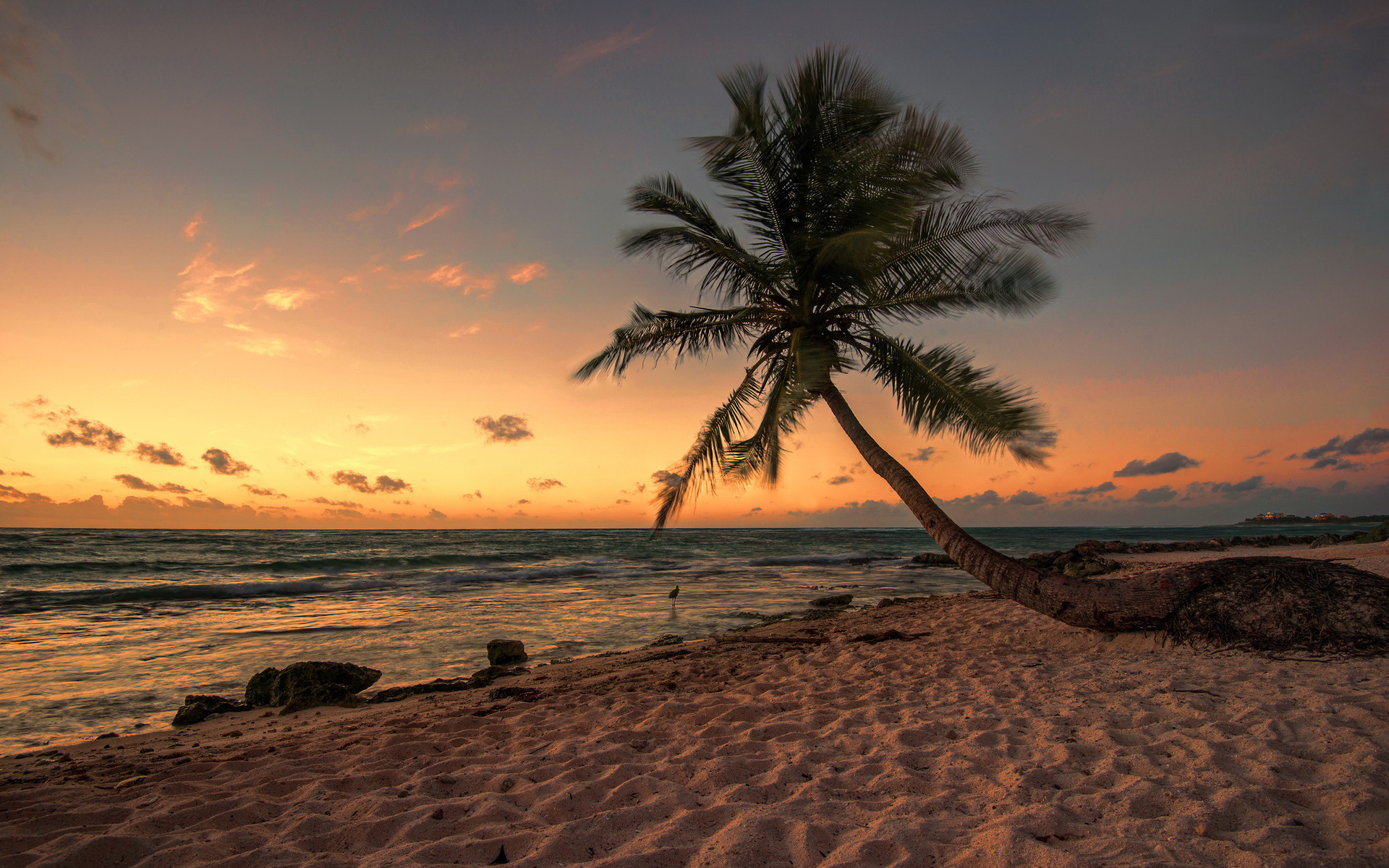 Téléchargez gratuitement l'image Plage, Terre/nature sur le bureau de votre PC