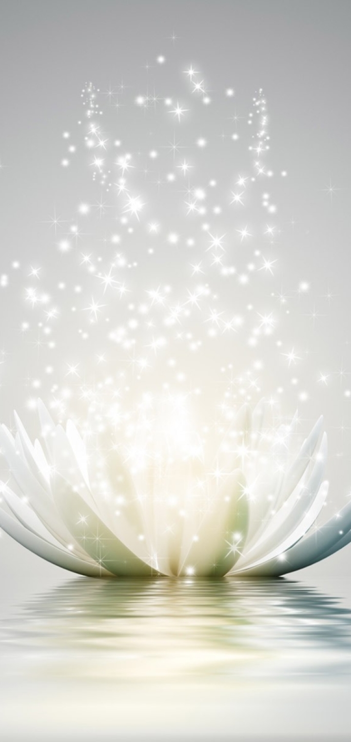Download mobile wallpaper Flowers, Lotus, Flower, Earth, Sparkles for free.