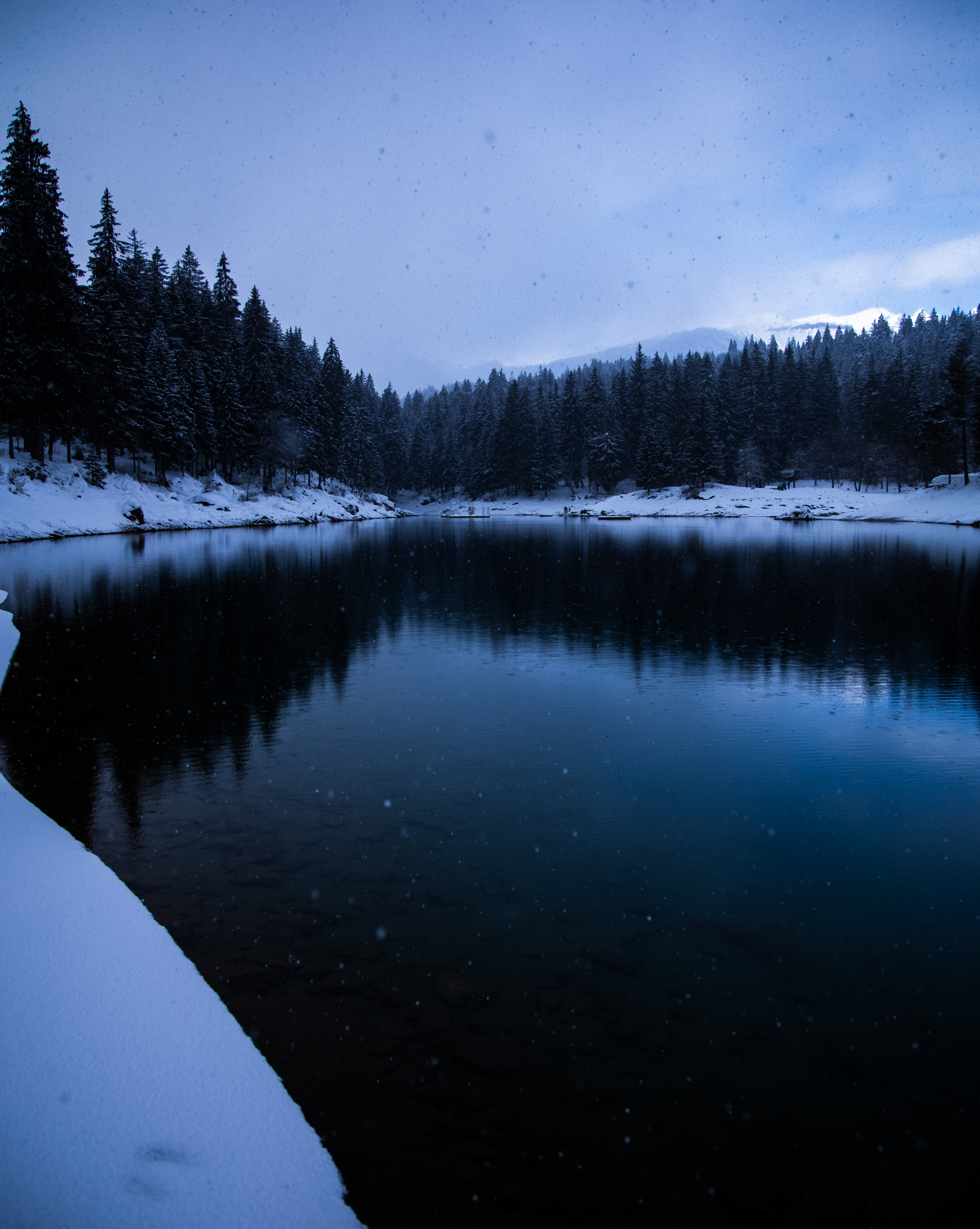 Скачать картинку Берег, Снег, Деревья, Природа, Зима, Озеро в телефон бесплатно.