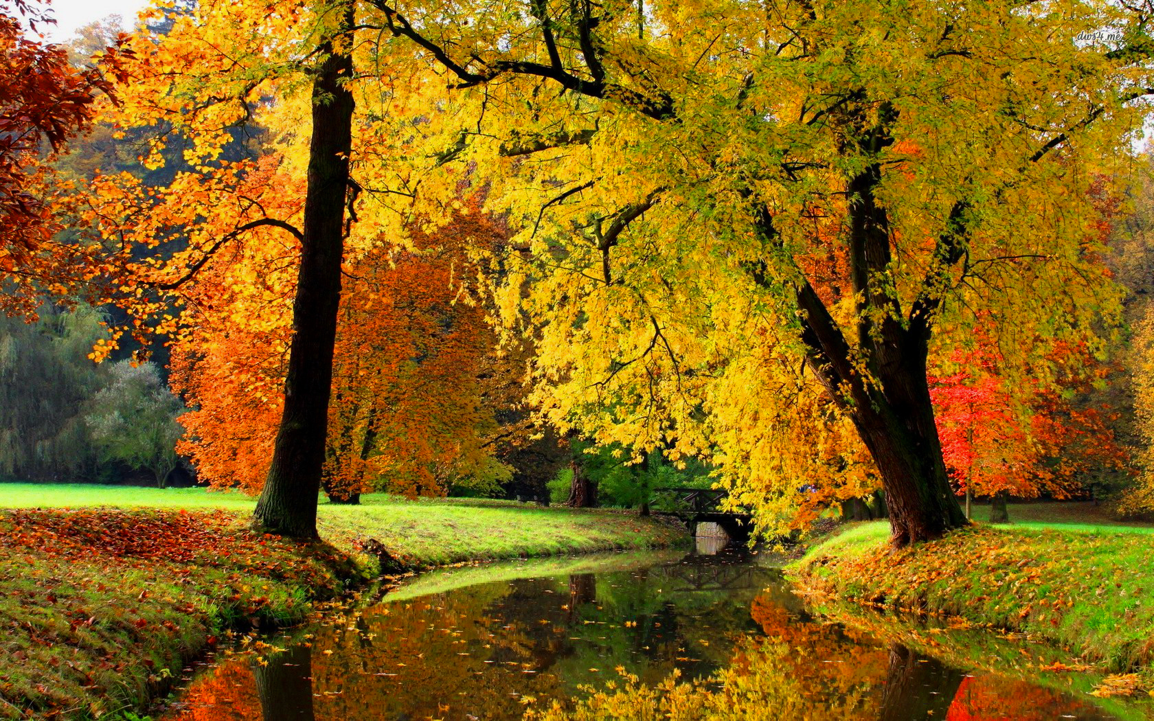 Download mobile wallpaper Park, Tree, Fall, River, Photography for free.