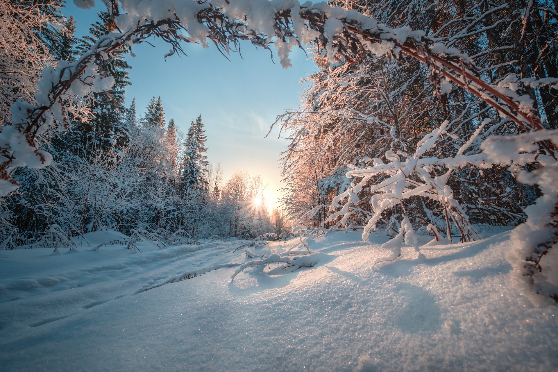 Free download wallpaper Winter, Nature, Snow, Forest, Earth on your PC desktop