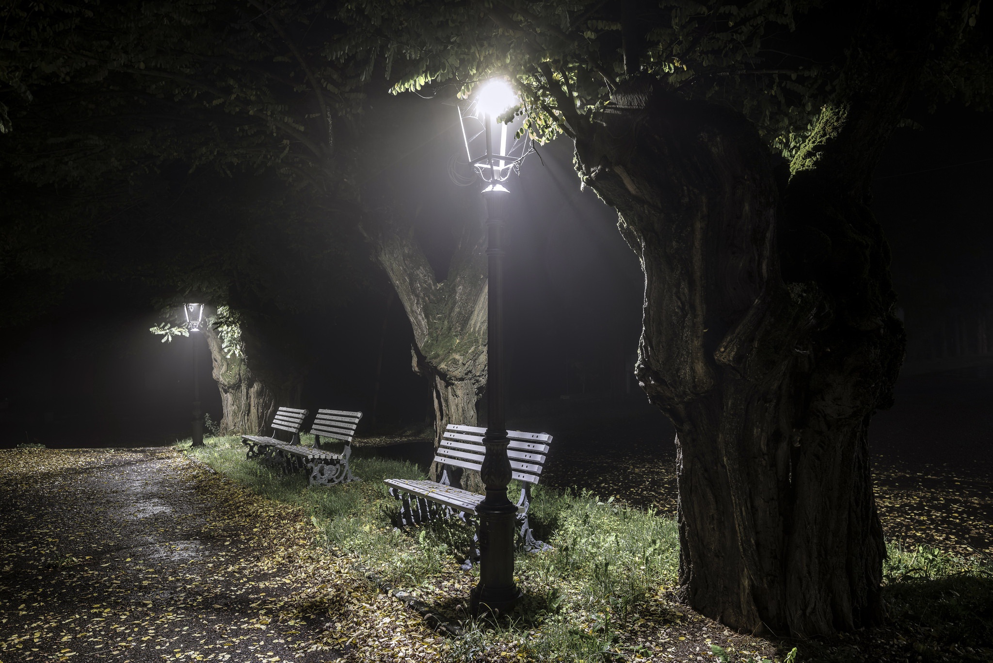 Download mobile wallpaper Night, Park, Bench, Photography, Lamp Post for free.