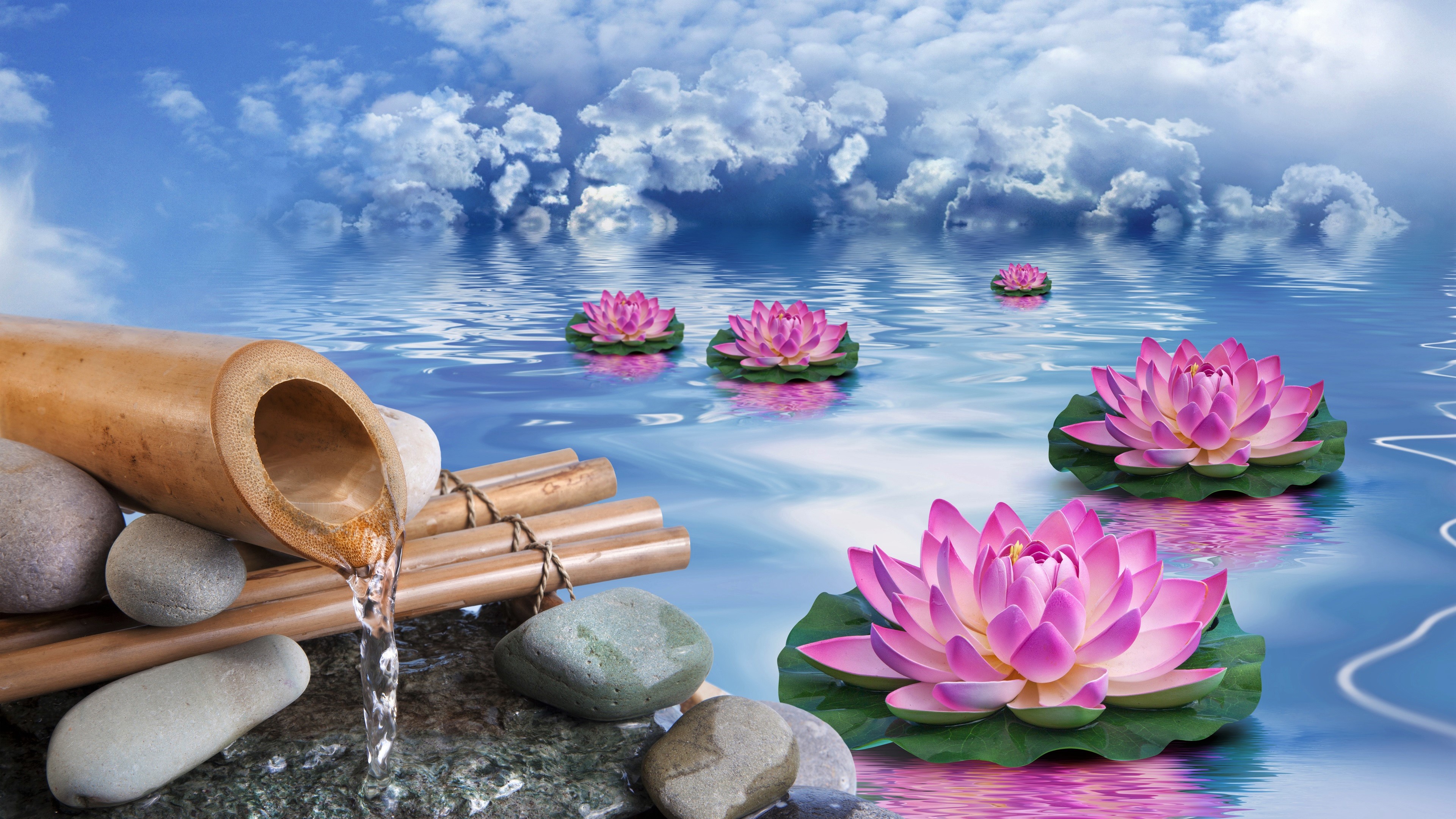 Free download wallpaper Water, Fantasy, Artistic, Cloud, Water Lily, Pink Flower on your PC desktop