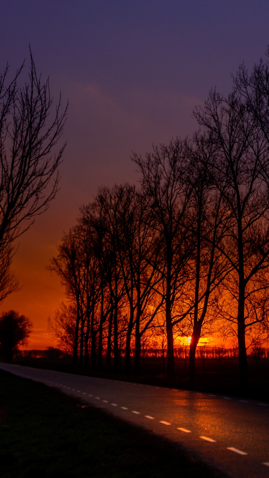 Download mobile wallpaper Sunset, Sky, Silhouette, Road, Tree, Earth, Photography for free.