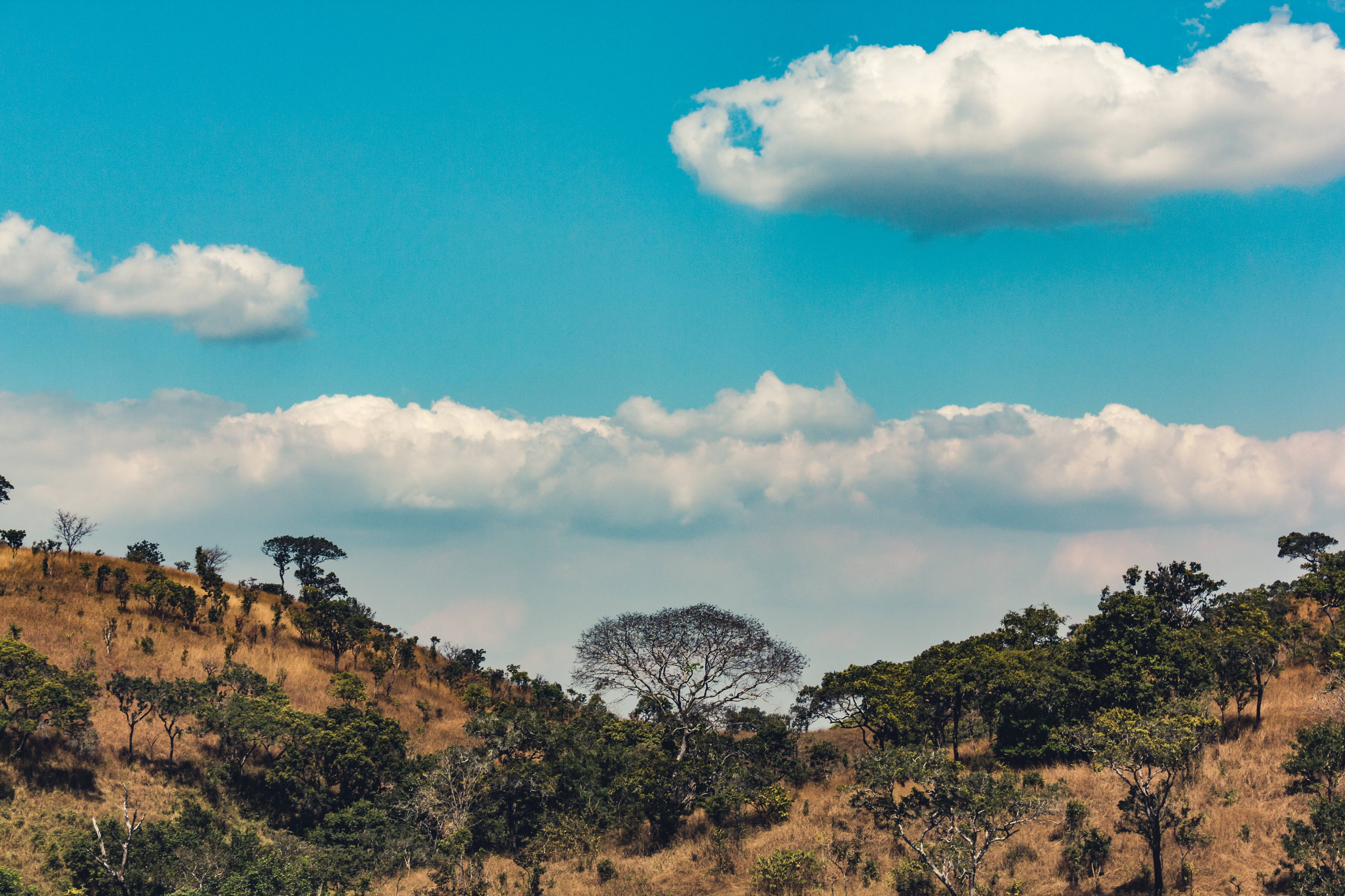 africa, nature, trees, clouds, hills, hill Full HD