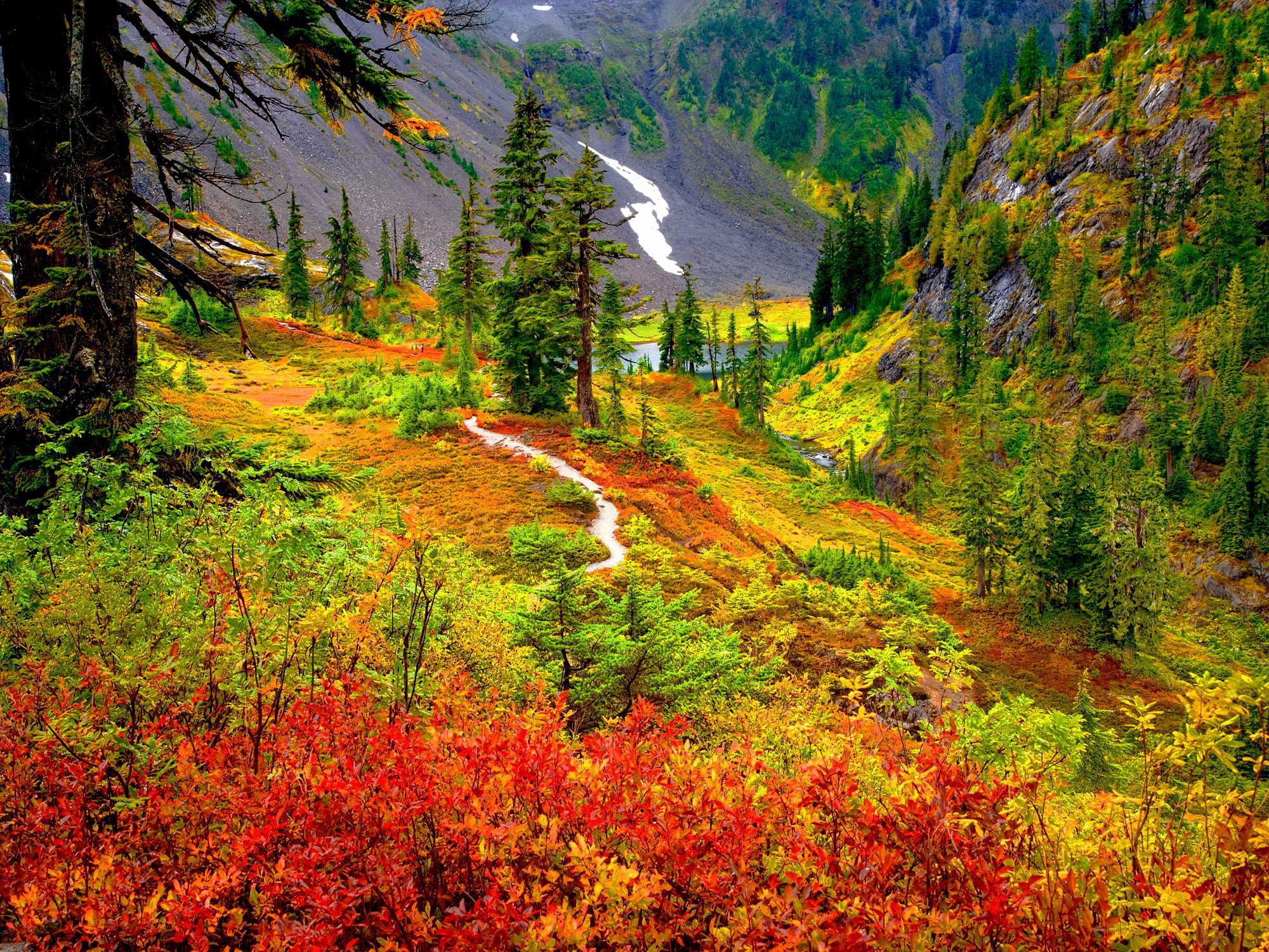 Скачать обои бесплатно Пейзаж, Осень, Дерево, Земля/природа картинка на рабочий стол ПК