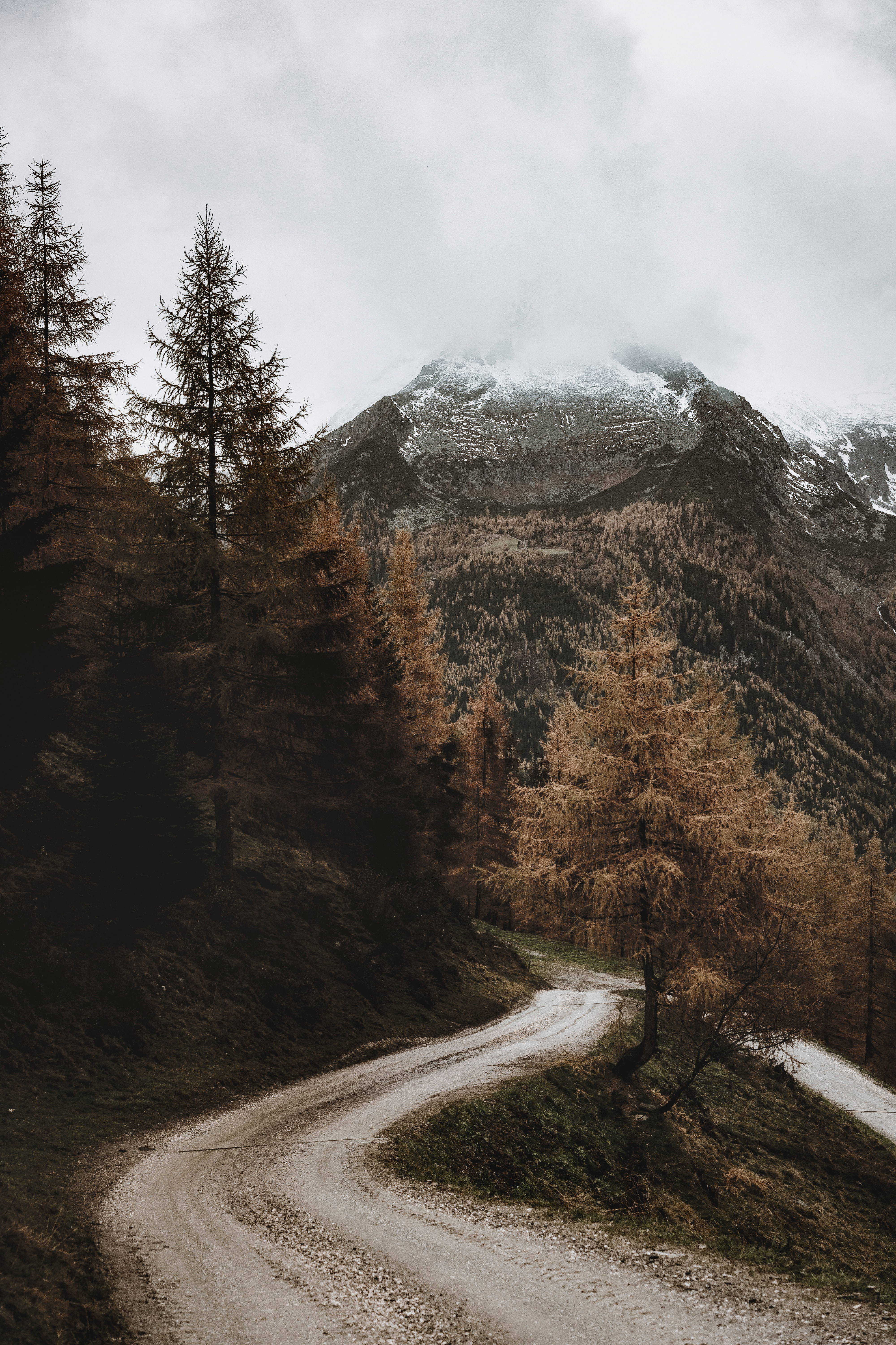 Download mobile wallpaper Road, Trees, Mountain, Nature, Landscape for free.