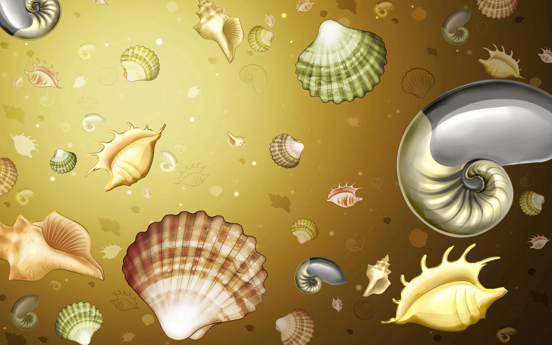 background, drawing, shells, texture, textures, picture, color