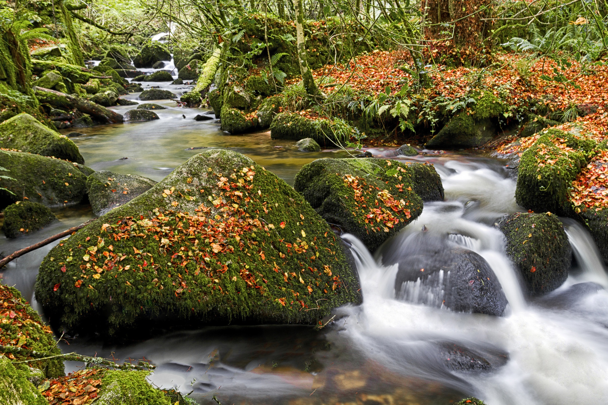 Descarga gratuita de fondo de pantalla para móvil de Naturaleza, Musgo, Chorro, Tierra/naturaleza.