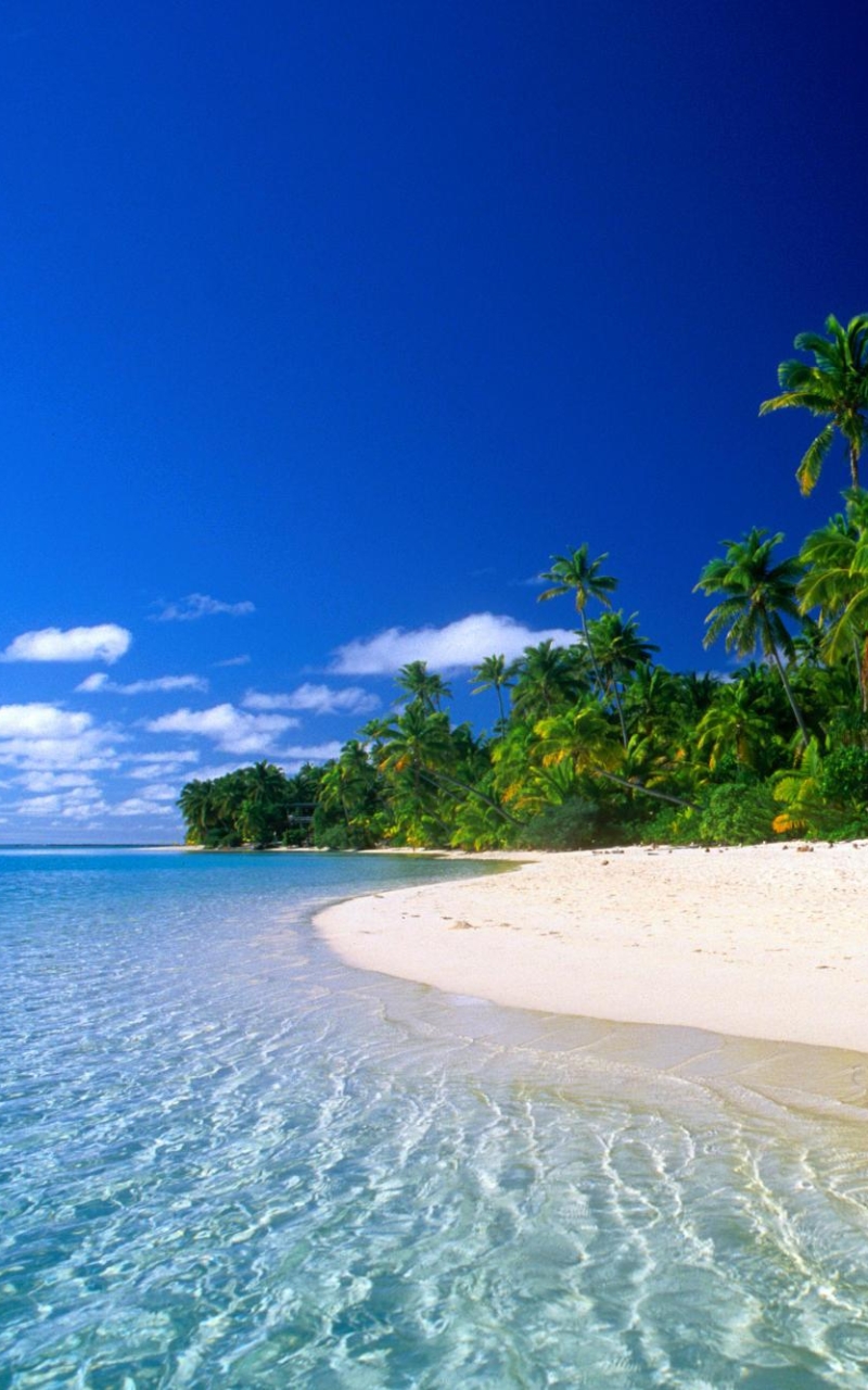 Download mobile wallpaper Water, Sky, Beach, Sand, Tree, Earth, Tropics, Island, Palm Tree for free.
