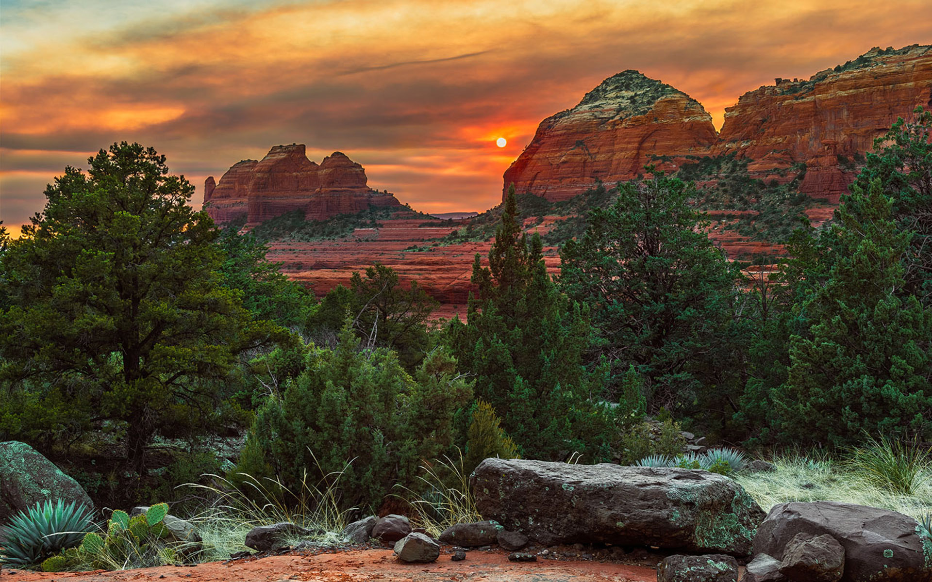 Download mobile wallpaper Sunset, Tree, Earth, Arizona, Sedona for free.